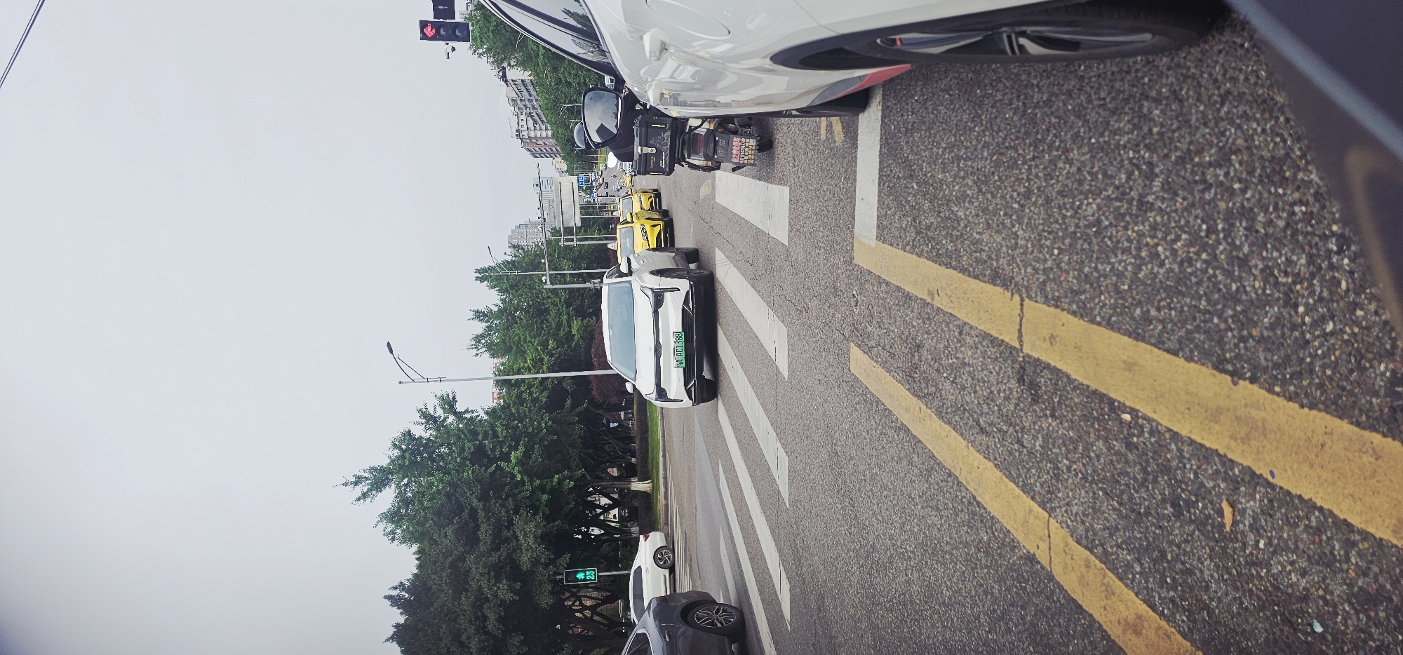 The image shows a street scene in Jiulongpo District, China, at a traffic light. The view is from a vehicle, looking ahead at a line of stopped cars. The cars are primarily white and yellow, with one white car in the crosswalk. The license plate of the white car in the crosswalk is partially visible. There are trees and buildings on the side of the road. The traffic light visible in the picture is red in one direction and green in another. There is a motorcycle in the lane ahead of the photographer. Road markings include white crosswalk lines and double yellow lines.