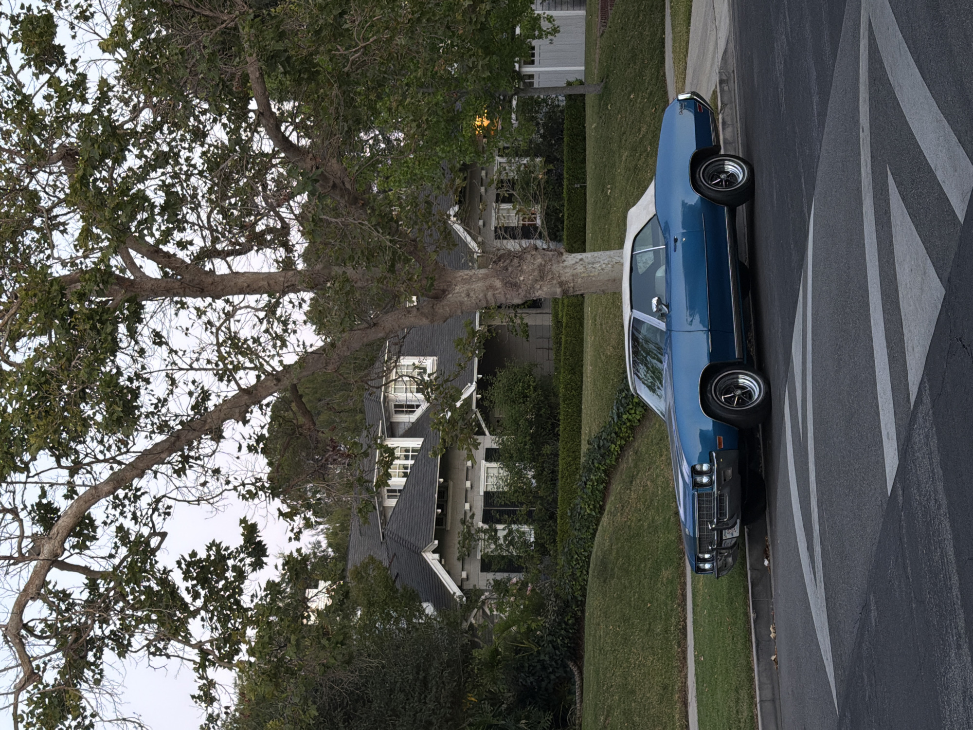 The image depicts a residential scene in Los Angeles, United States. A blue classic car with a white convertible top is parked on a street marked with white crossing lines. The car is positioned close to the curb, with green lawn and a trimmed hedge separating the street from the residential property. The property features a multi-story house with a dark roof and white facade, partially obscured by a large tree with extensive branching. The sky is visible through gaps in the foliage. The setting suggests a quiet, upscale neighborhood.
