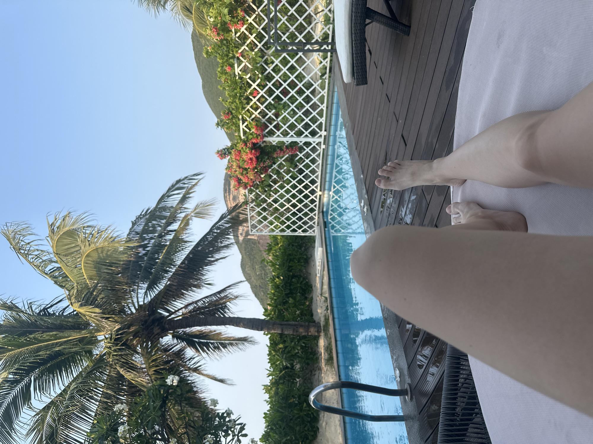 A first-person perspective image displays legs extended on a white towel next to a clear blue pool. The scene is bordered by a wooden deck and white lattice fencing covered in greenery and red flowers. A tall palm tree stands prominently to the left of the pool. In the background, a gentle mountain slope rises under a clear blue sky. The city and specific location are not identifiable from the image.