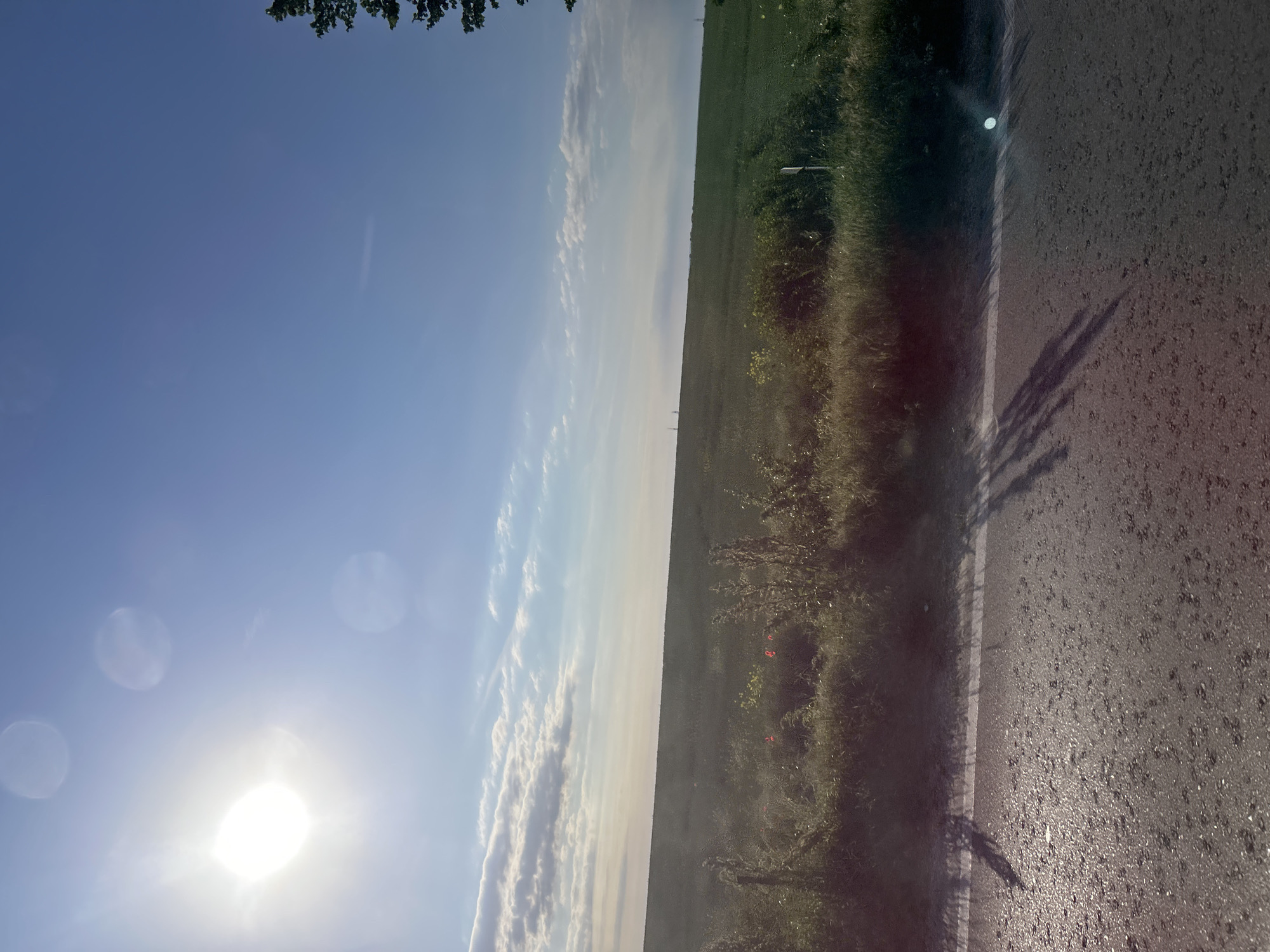 The image shows a view along a road. To the left is a clear blue sky with the sun low on the horizon. A layer of clouds is visible along the horizon. To the right of the road is a field of green vegetation and some taller weeds. Shadows cast by trees are visible on the right side of the road. The location is not specified, but it is given as Pirgovo, Bulgaria. There is no specific evidence about the city in this image.
