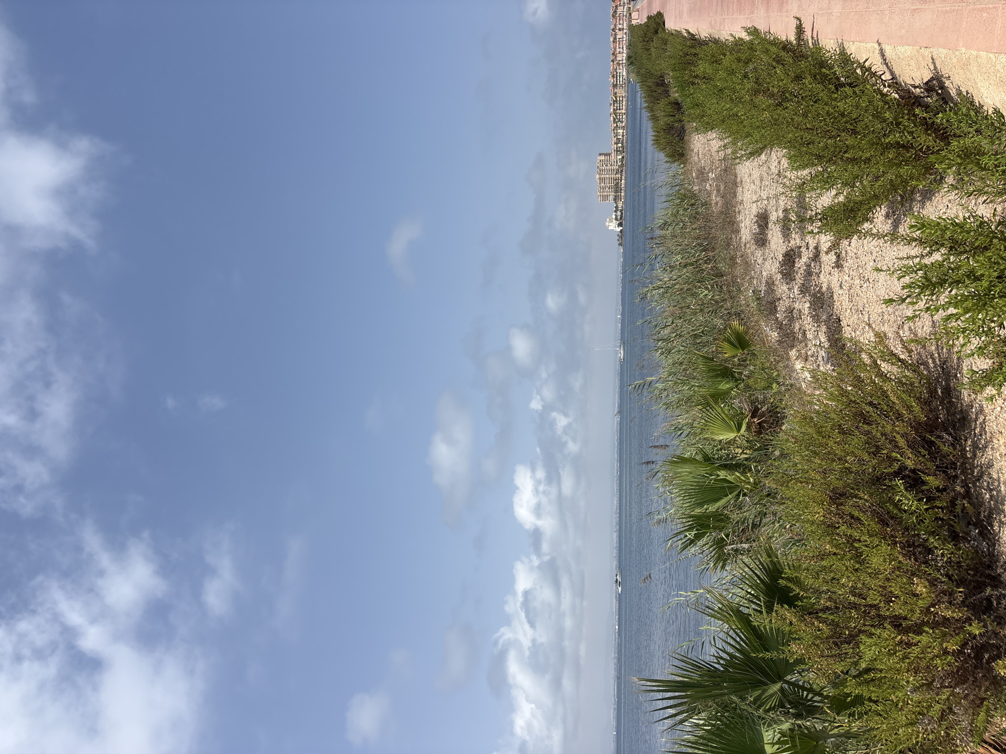 The image shows a waterfront scene in San Javier, Spain, likely along the Mar Menor lagoon. The foreground features a sandy path lined with low-lying green shrubs and some larger palm fronds and reeds. A red tiled walkway runs along the right edge of the image. Beyond the vegetation is a body of water, appearing calm and blue. In the distance, across the water, a coastline is visible with a cluster of buildings, including a large, light-colored hotel or apartment complex and several smaller, light-colored structures with red roofs. Several boats, including a white yacht and a sailboat, are visible on the water. The sky above is a clear blue with scattered white clouds. The overall impression is a sunny day with a coastal resort atmosphere.