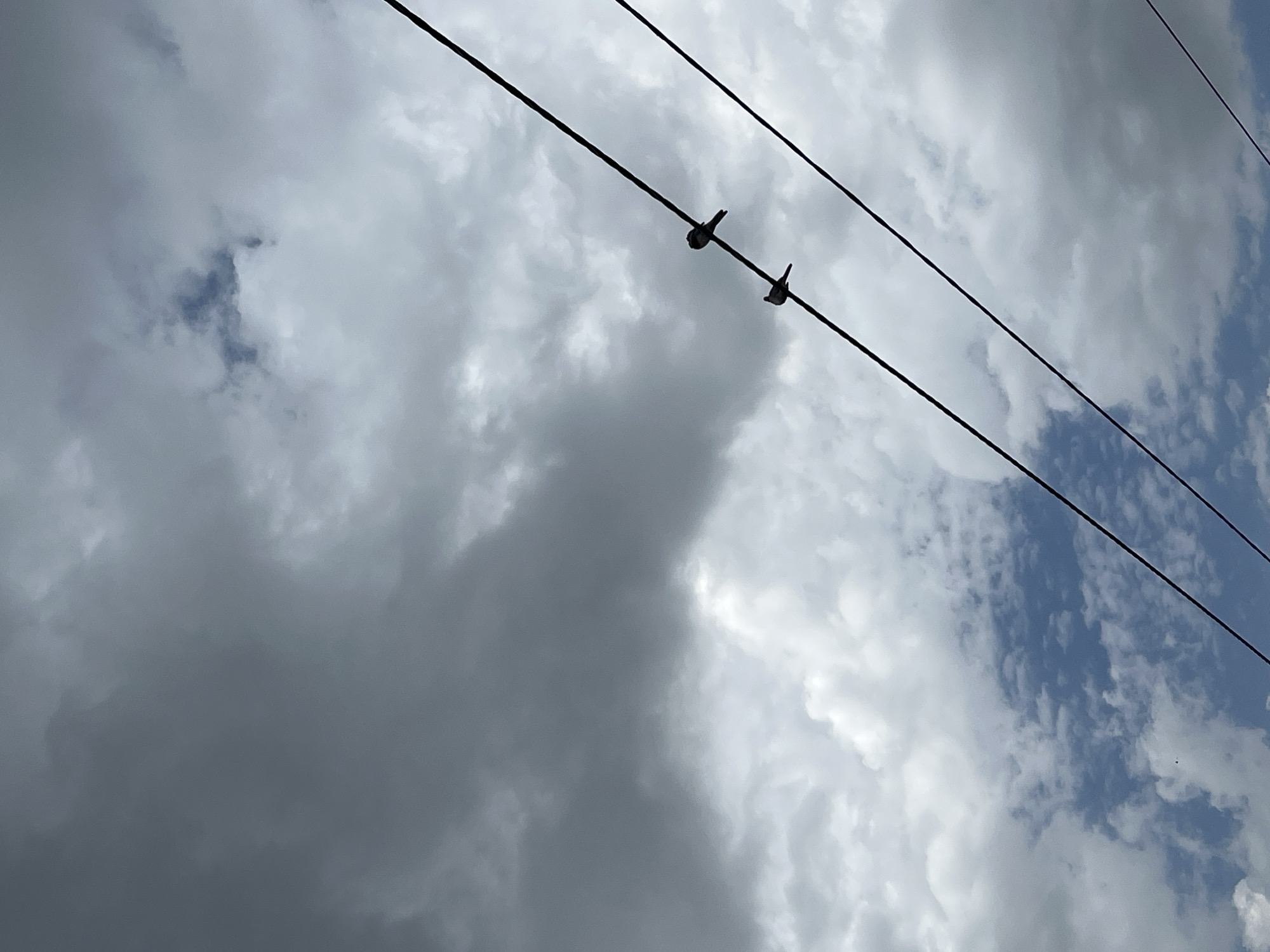The image shows a portion of the sky with scattered clouds and three power lines. Two small birds are perched on the middle power line. The clouds are a mix of dark and light gray, indicating potentially stormy or overcast weather. The sky above is a bright blue, suggesting that the sun may be shining through gaps in the clouds. The power lines are dark and thin, silhouetted against the sky. The overall scene is a snapshot of a natural moment, with the birds as the only living subjects. There is no visible text in the image. The provided location context is Shymkent, Kazakhstan. The time of day and specific location cues are not discernible from the image itself.