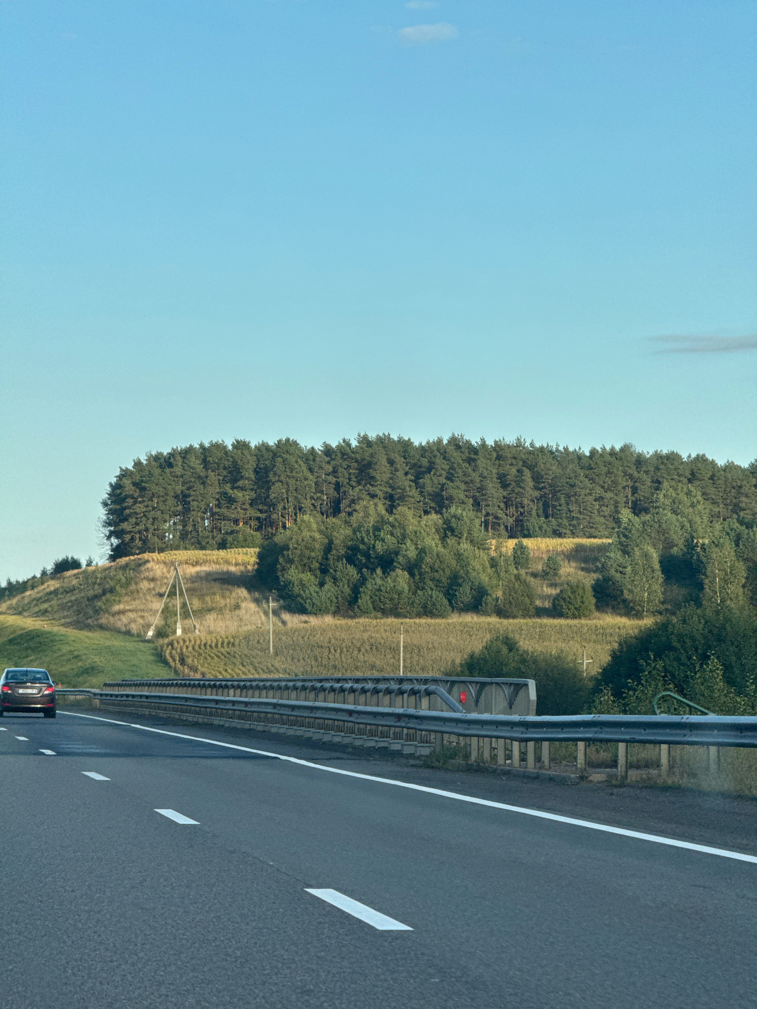 The image shows a view from a highway in the vicinity of Вішоўскі сельскі Савет, Belarus. A dark-colored car is driving on the left side of the highway. The highway has white lane markings and a metal guardrail runs along the right side. Beyond the guardrail, there is a grassy slope leading up to a dense forest. A field of crops, possibly corn, is visible on the hillside. The sky is a clear, pale blue with a few wispy clouds. The overall scene depicts a rural highway landscape.