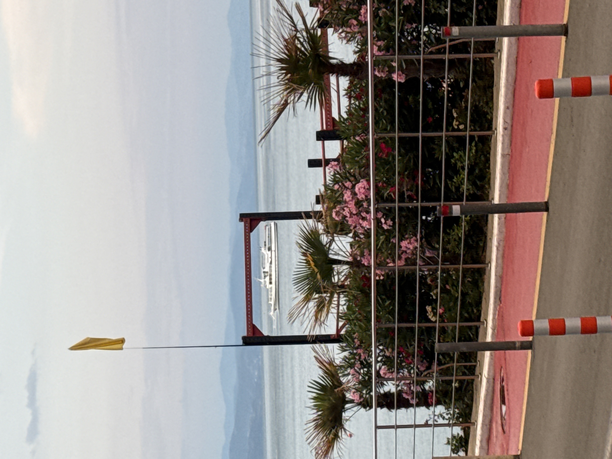 This image depicts a coastal scene with a fence and lush vegetation. In the foreground, a metallic fence with red and white striped poles is visible, suggesting a boundary or safety barrier. Behind the fence, a cluster of palm trees and flowering bushes with pink blossoms adds a tropical feel to the setting. The fence encloses an area that overlooks a body of water, likely a sea or large lake, with a distant shoreline visible under a bright sky. The water is calm, reflecting the light and creating a serene atmosphere. A white boat is present on the water, hinting at recreational or transport activities. To the left of the frame, a yellow flag flutters on a thin pole, possibly indicating a marker or signal. The overall lighting suggests it is daytime, with a clear sky. The image appears to be taken from a slightly elevated position, looking out over the water. The presence of a boat and the decorative vegetation suggests a waterfront area, perhaps a promenade or a resort. There is no visible text in the image. The scene evokes a sense of peacefulness and a holiday ambiance.