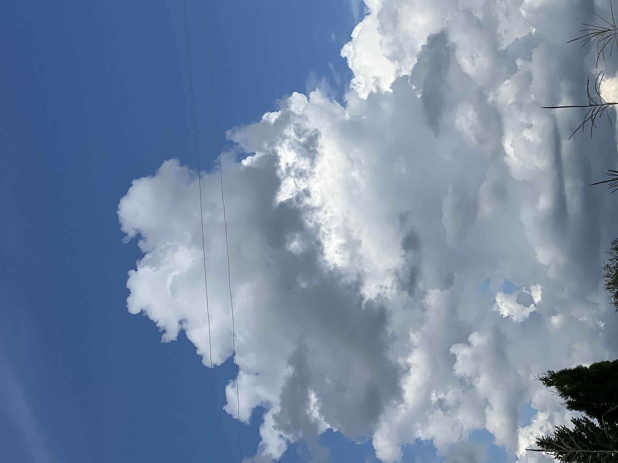 The image depicts a cloudy sky with some trees and stalks visible at the bottom. The clouds are a mix of white and gray, suggesting a partly cloudy or overcast day. The sky is blue, indicating it's daytime. There are power lines stretching across the sky. The overall scene is a natural landscape, potentially rural or suburban, with no obvious signs of urban activity. The location is given as Mochishche, Russia, a village in the Moscow Oblast. There are no people or specific actions visible in the image.