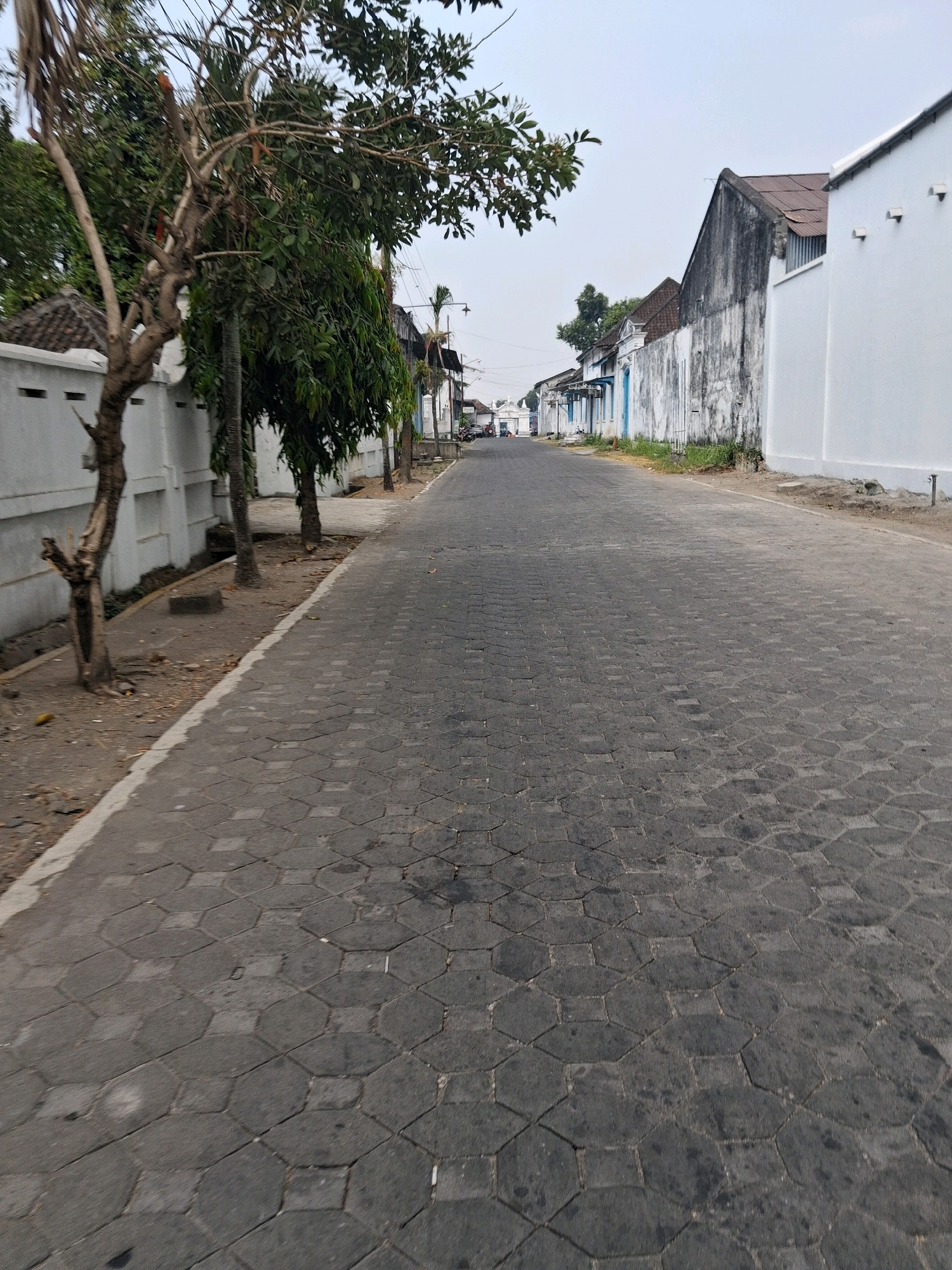 The image depicts a street in Surakarta, Indonesia, likely within the historic Kotagede area, known for its traditional Javanese architecture and artisanal silver crafts. The perspective is from street level, looking down a paved road lined with white walls and traditional buildings. The road itself is paved with interlocking hexagonal dark gray stones, showing signs of wear and tear.
On the left side of the street, a white wall with decorative elements runs along the sidewalk. In front of the wall are several trees, some with bare branches and others with dense green foliage. The sidewalk is also paved with hexagonal stones and is bordered by a white stripe.
The buildings on the right side of the street exhibit a mix of architectural styles, with some featuring weathered white walls and tiled roofs, while others are painted a stark white. The sky is overcast and a pale blue. The overall impression is one of an older, well-established urban environment. There are no people or vehicles clearly visible in the immediate foreground or mid-ground, suggesting a quiet moment in time. In the distance, a few more buildings and possibly vehicles can be seen, indicating the street continues further into the city.