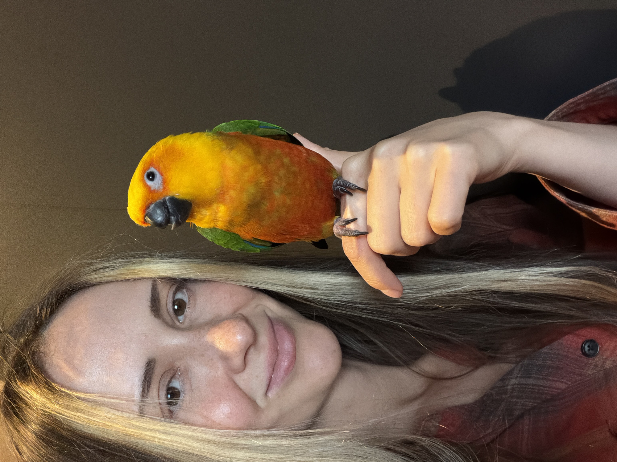 A person is holding a colorful parrot on their hand. The parrot, likely a sun conure, has bright yellow and orange feathers with green and blue accents on its wings and tail. It is perched on the person's index finger, with its claws gripping the skin. The person's hand is relaxed, with fingers slightly curled. In the foreground, the person's face is visible, turned slightly towards the camera. They have brown eyes, a light complexion with some freckles, and blonde hair that falls around their face. The person is smiling softly, conveying a sense of warmth and connection with the bird. They are wearing a red and black plaid shirt. The background is a plain, dark brown color, suggesting an indoor setting. The lighting appears to be warm and artificial, possibly from a lamp or overhead light, casting some gentle shadows and highlights on the person's face and hand. The overall mood is intimate and peaceful, highlighting the bond between the person and their pet. The photo appears to be a selfie, taken by the person themselves. There is no visible text in the image. The location context is Khimki, Russia.