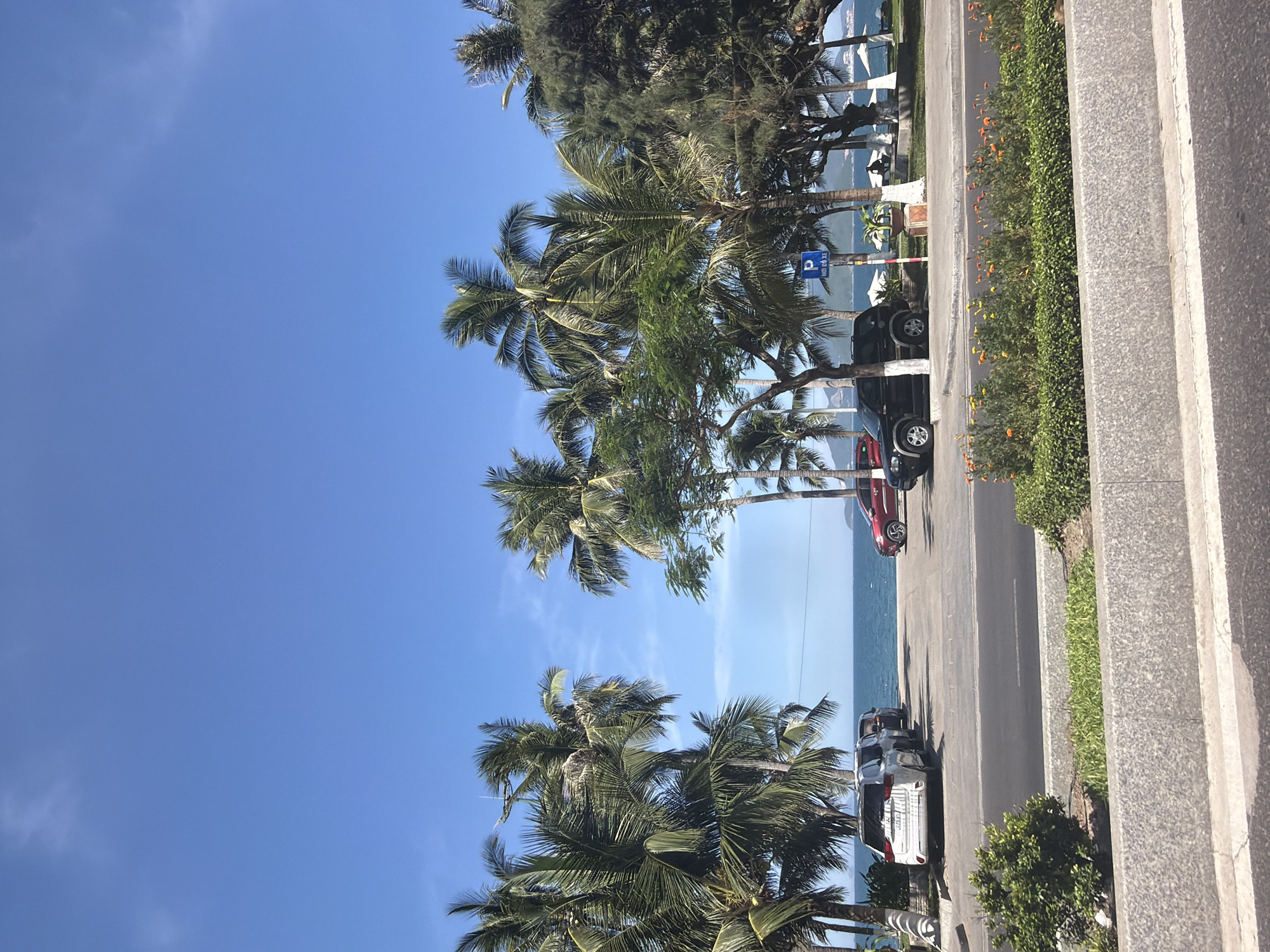 The image captures a sunny day scene in Nha Trang Ward, Vietnam, featuring a picturesque view of the ocean beyond a line of palm trees and parked vehicles. The foreground shows a paved road with a concrete divider, lush green bushes, and some flowering plants. Beyond this, a parking area is visible, with several cars parked, including a white SUV and a black SUV. A blue parking sign with white text in Vietnamese is also present. The middle ground is dominated by the calm, blue ocean, meeting the horizon under a clear, vibrant blue sky with a few wispy clouds. Scattered white umbrellas and a few figures can be seen on the beach area, suggesting a public space. The overall atmosphere is tranquil and suggests a popular coastal destination.