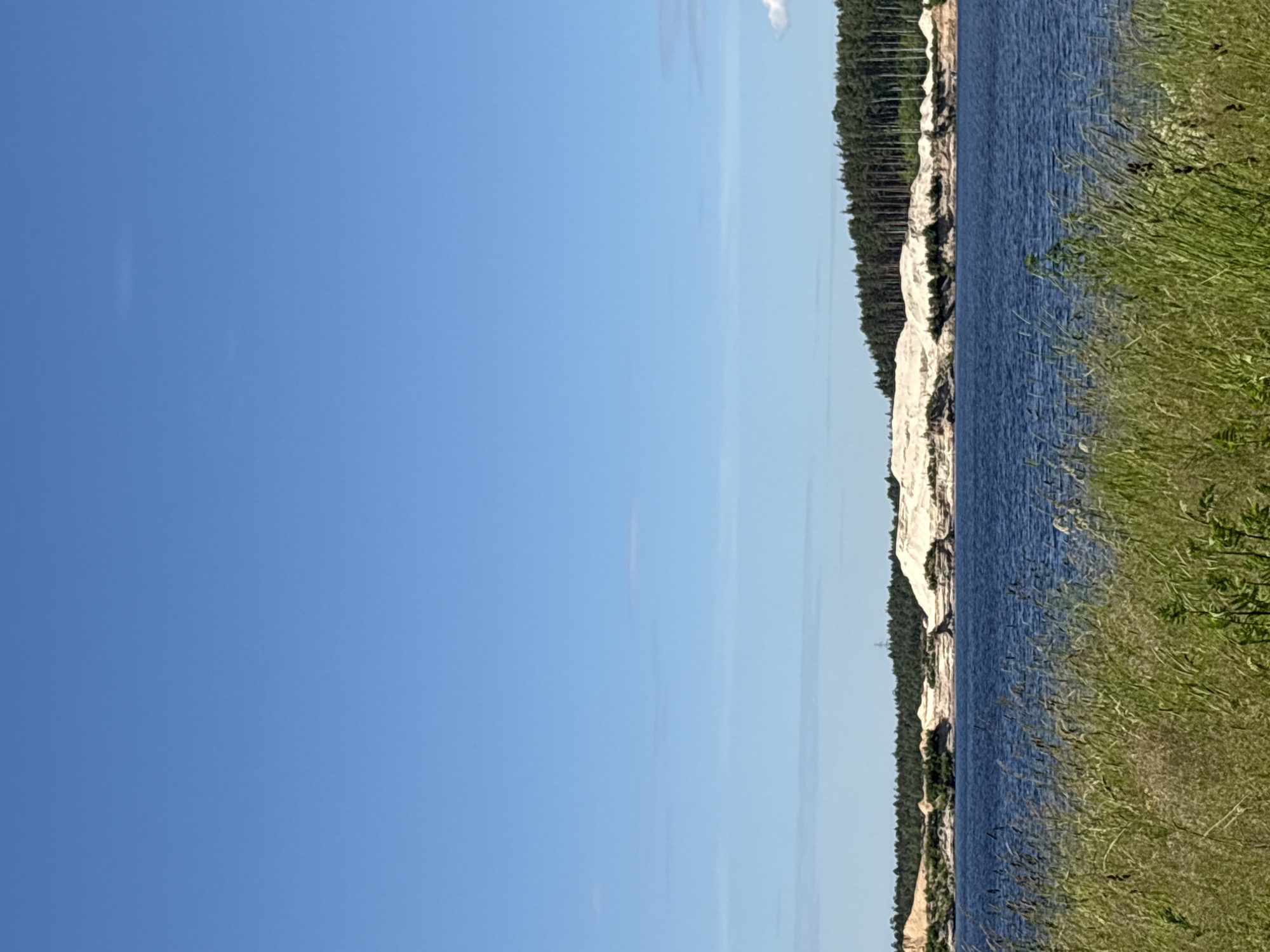 The image depicts a serene natural landscape under a clear blue sky. In the foreground, tall green grass and reeds sway gently, suggesting a warm, sunny day. Beyond the vegetation, a calm body of dark blue water stretches across the frame, reflecting the sky.

The middle ground is dominated by a striking contrast of natural features. On the far bank of the water, a series of undulating sand dunes, primarily pale beige and white, form a prominent ridge. These dunes appear to be artificial, possibly from a quarry or mining operation. Behind the dunes, a dense line of dark green pine trees stands tall, creating a sharp, dark silhouette against the lighter sand.

The background is a vast expanse of uninterrupted blue sky, with only a few faint, wispy clouds scattered high above. The overall impression is one of natural beauty and tranquility, with a man-made element of the sand dunes adding a unique visual characteristic to the scene. The location is identified as Manushkino, Russia, implying this scene is situated within or near this area. There are no people or animals visible in the image.