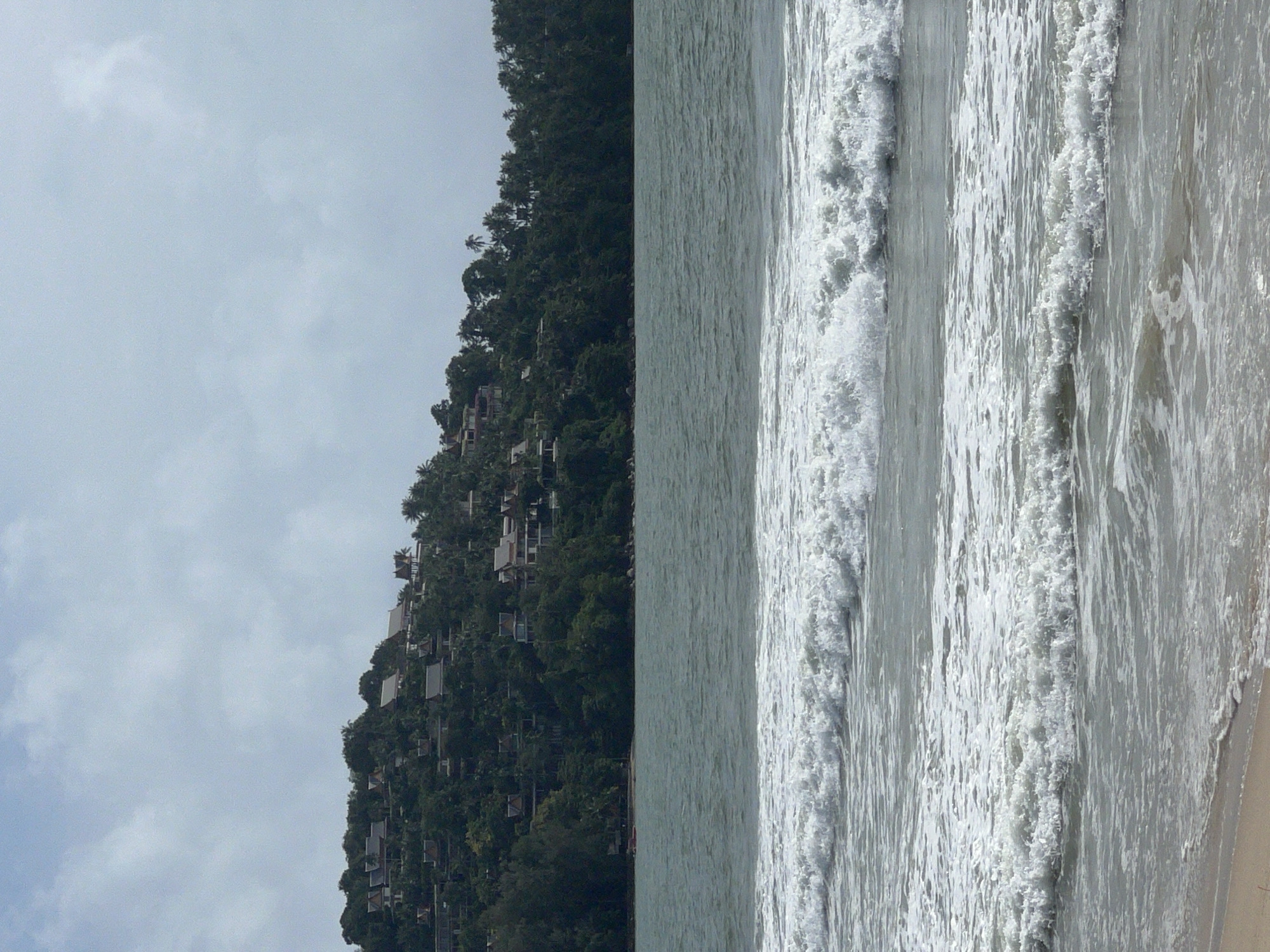 The image shows a coastline with a beach on the right and a hillside covered in dense vegetation on the left. Several buildings, possibly houses or resorts, are interspersed within the trees. The ocean meets the shore with visible waves. The sky is overcast.