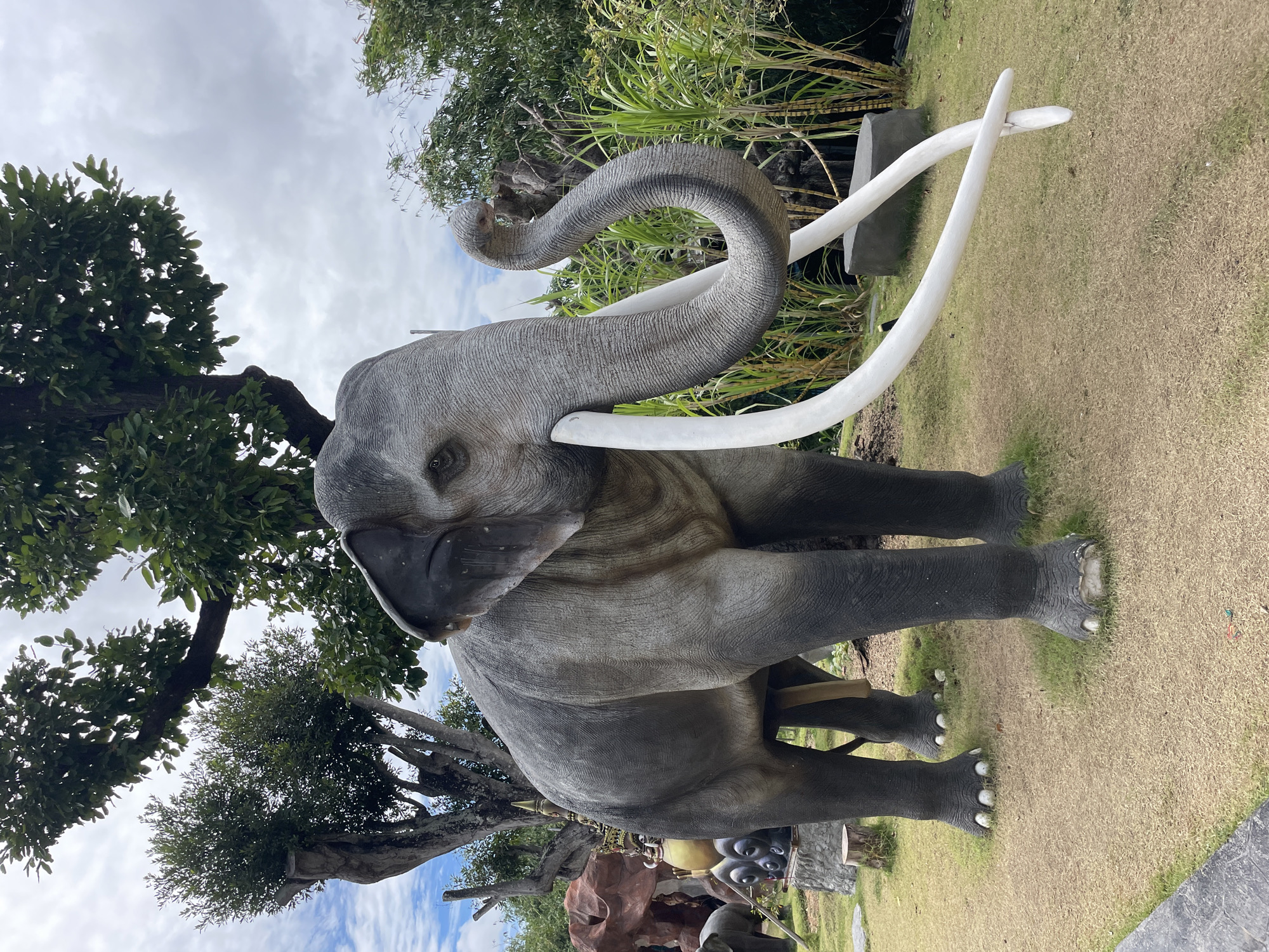An elephant statue is located in a grassy outdoor area in Bo Win Subdistrict, Thailand. The statue is a realistic representation of a large elephant with gray skin and prominent white tusks. Its trunk is curled upwards. In the background, there are trees with green leaves, a cloudy sky, and tall, reedy plants. There are also other smaller statues and rock formations visible behind the main elephant statue. The ground is covered in dry grass and some patches of green.