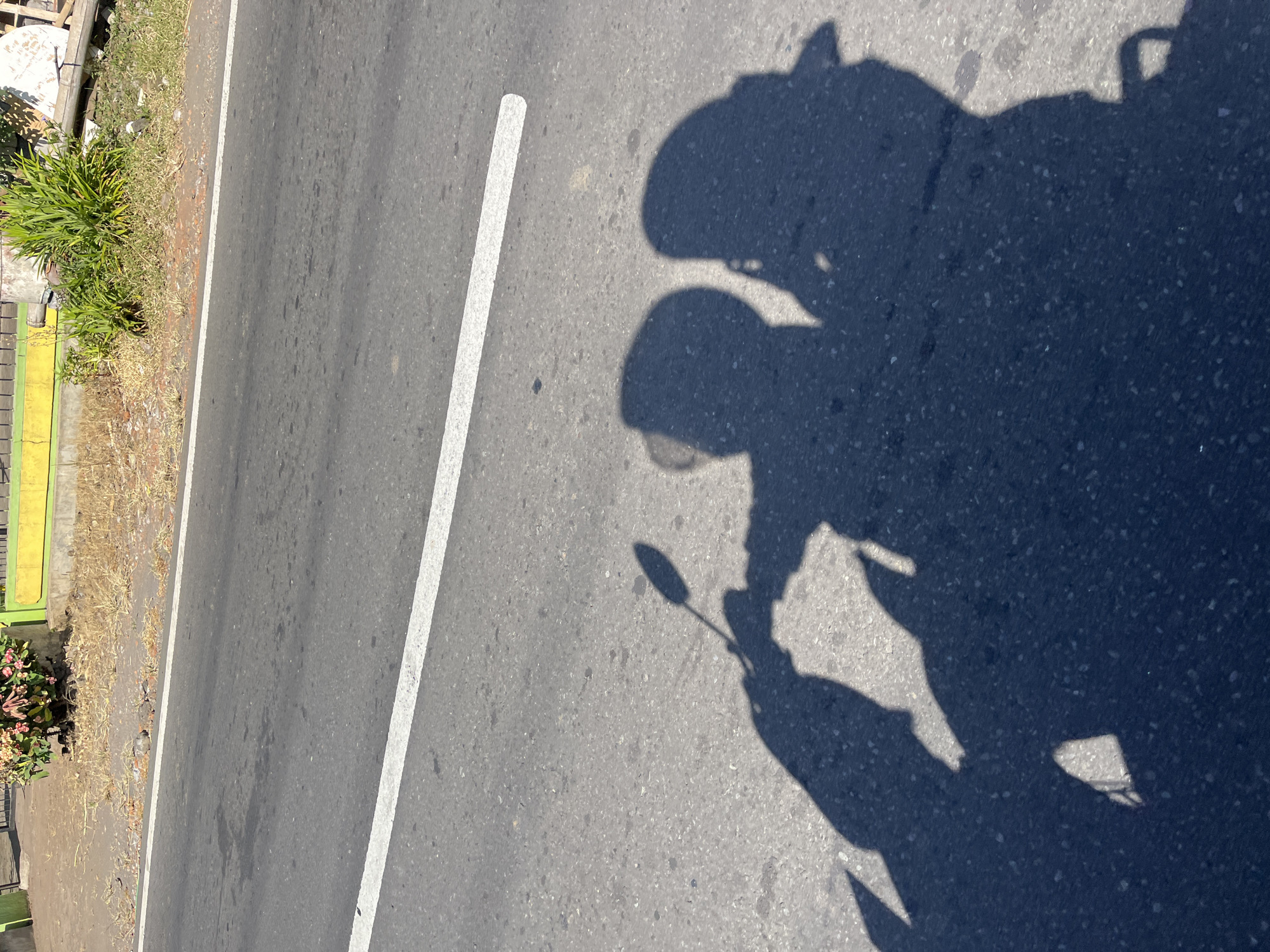 The image captures a shadow of two individuals on a paved road in Purworejo, Indonesia, with a white line marking the lane. The shadows suggest they are riding a motorcycle, with one person in front and another behind. The foreground is dominated by these silhouettes cast by the bright sun, which also illuminates the asphalt and the dry grass and foliage on the side of the road. A yellow-painted wall and a green fence are visible in the background, indicating an urban or semi-urban setting. The overall scene is a snapshot of everyday life on a sunny day in this Indonesian city.