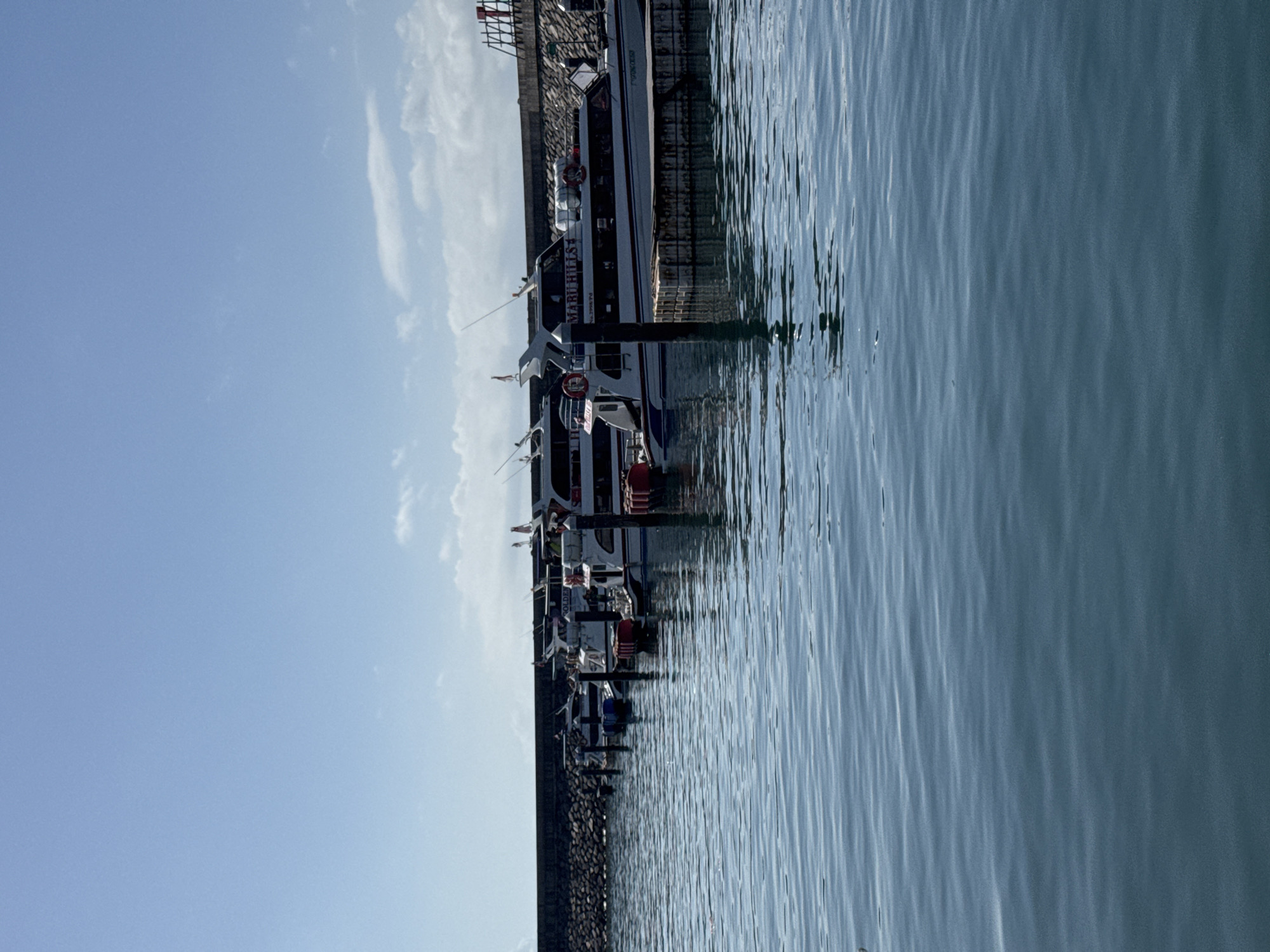 A row of white passenger boats with blue accents are docked at a harbor under a clear blue sky with scattered white clouds. The boats are lined up alongside a floating dock, with mooring posts visible in the water. The background features a stone sea wall. The water is calm and reflects the sky and boats. One of the boats has "MABUHILS" written on its side. The scene appears to be a sunny day in a harbor.