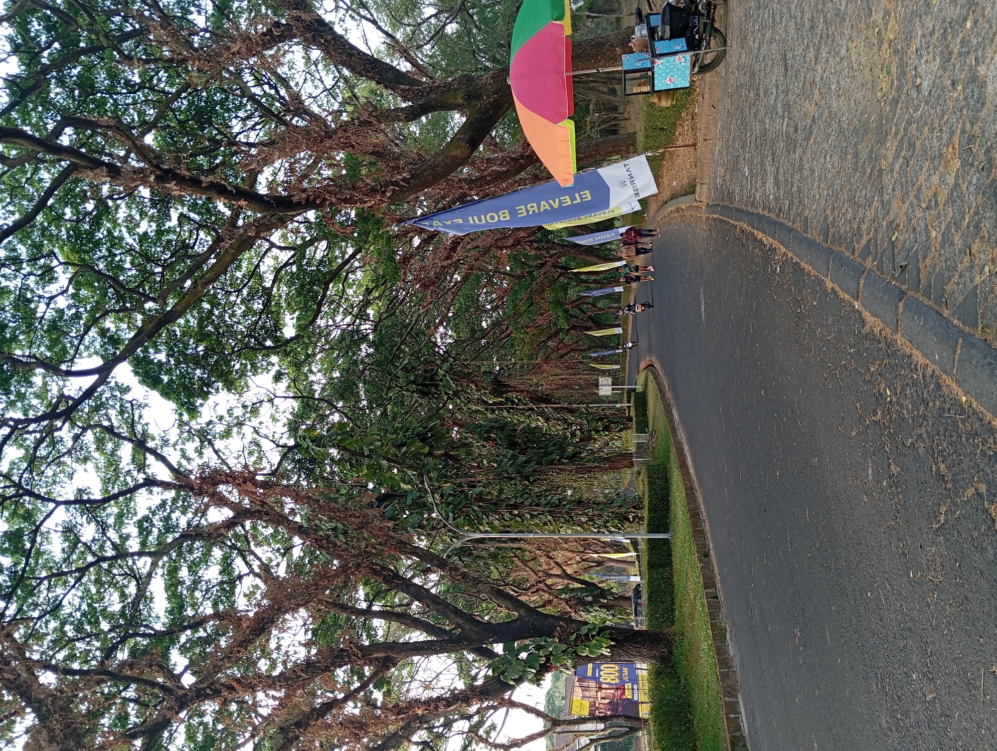 The image depicts a tree-lined street in Karang Jati, Indonesia, with a paved road curving to the right. Tall trees with dense foliage and some dried, hanging vines form an archway over the road. Several people are visible walking and riding motorcycles on the road. On the right side of the road, there is a colorful umbrella covering a small vendor cart with a motorcycle parked next to it. A tall, blue flag with white text, and a smaller yellow flag are also visible on the right side of the road. In the background, there are more trees and some buildings. The lighting suggests it is either early morning or late afternoon.