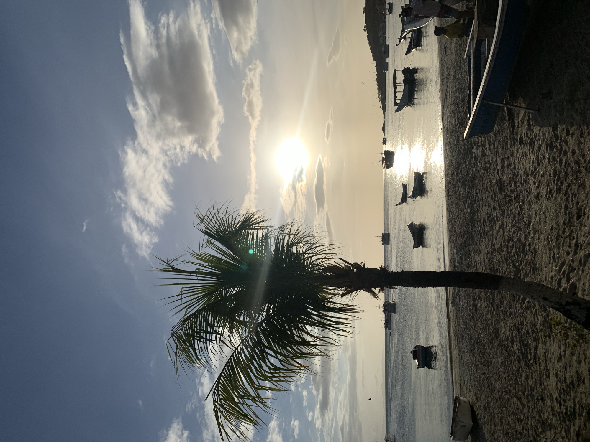 The image depicts a tranquil scene at sunset on the beach of Juan Griego, Venezuela. A lone palm tree stands prominently in the foreground, its fronds silhouetted against the soft light of the setting sun. The ocean is calm, reflecting the warm hues of the sky, and numerous small fishing boats are scattered across its surface, some moored near the shore and others further out at sea. A few larger vessels are also visible in the distance. The sandy beach is mostly empty, with a couple of unoccupied boats resting on the shore. In the right side of the frame, two individuals, a man and a boy, are present on the beach near a boat. The background shows a distant, hilly coastline. The overall atmosphere is peaceful and serene, capturing the essence of a quiet evening in a coastal Venezuelan town.