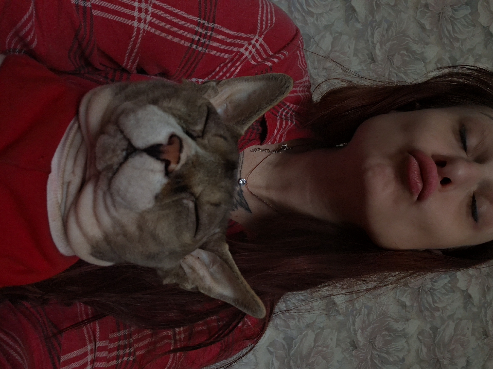 A young woman with long, dark red hair is holding a hairless cat, likely a Sphynx breed, close to her chest. She is wearing a red and white plaid shirt and a necklace with a small pendant. The woman's eyes are closed, and her lips are pursed as if she is about to kiss the cat. The cat also has its eyes closed, and its face is turned towards the camera. The background is a wall with a floral pattern. The overall impression is one of affection between the woman and her pet. There is no discernible information to ascertain the specific location within Забалоцкі сельскі Савет, Belarus.