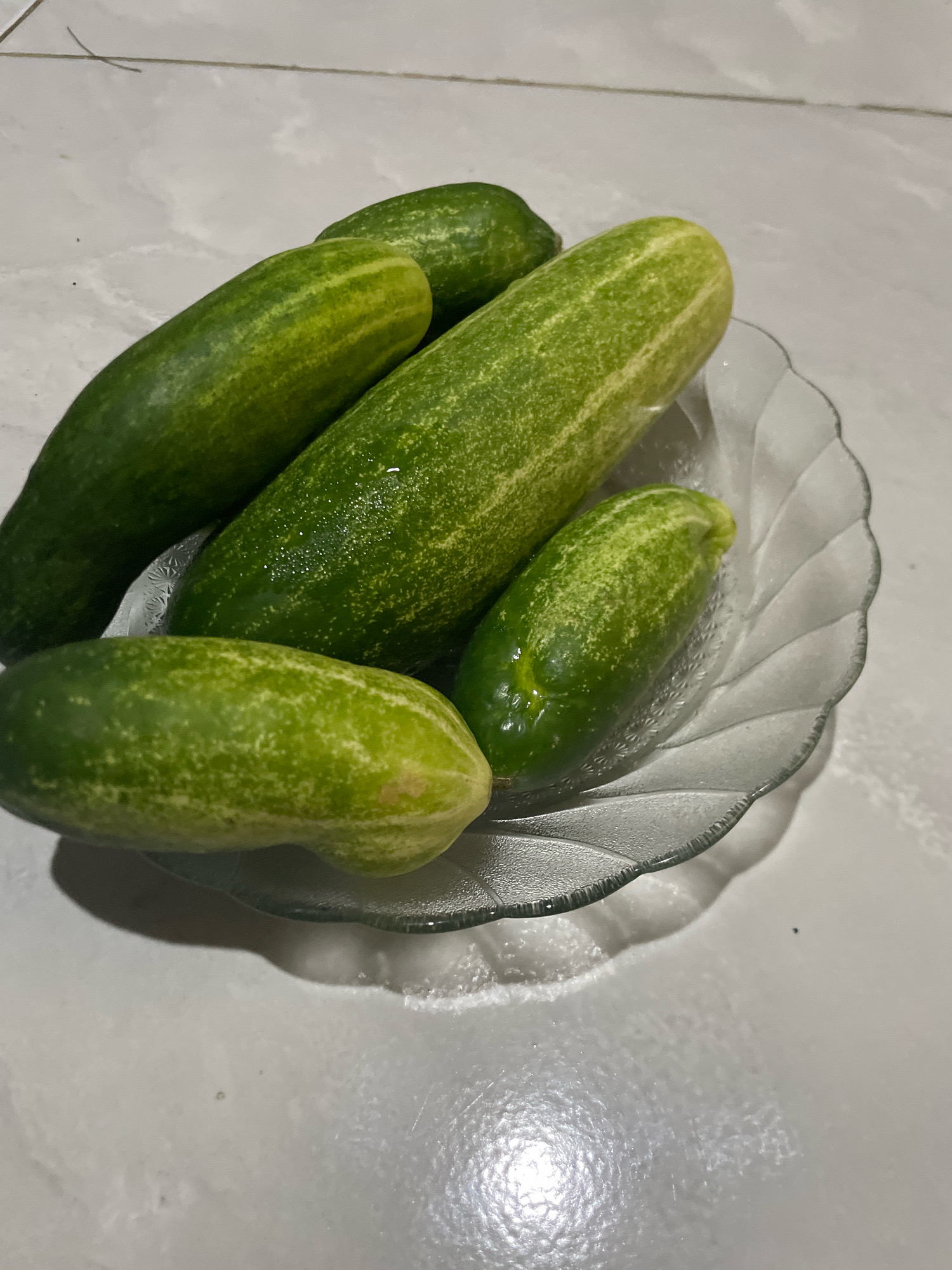 Five cucumbers are displayed on a clear glass plate with a decorative rim. The plate rests on a light-colored, tiled surface that appears to be a countertop. The cucumbers are various sizes and shades of green, with some exhibiting lighter green stripes or speckles. The surface of the cucumbers appears slightly wet, suggesting they may have been recently washed. The lighting in the image is dim, casting shadows on the tiled surface. The scene is devoid of any people or animals. The image depicts a still life arrangement of produce, possibly in a kitchen or dining area within East Jakarta, Indonesia.