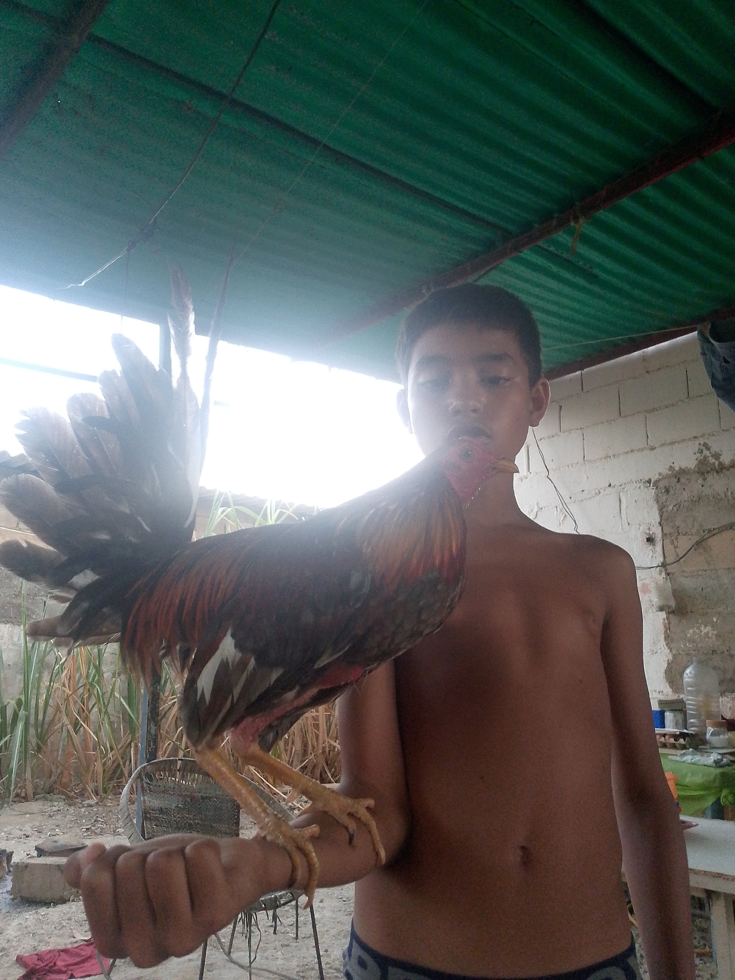 Memory
