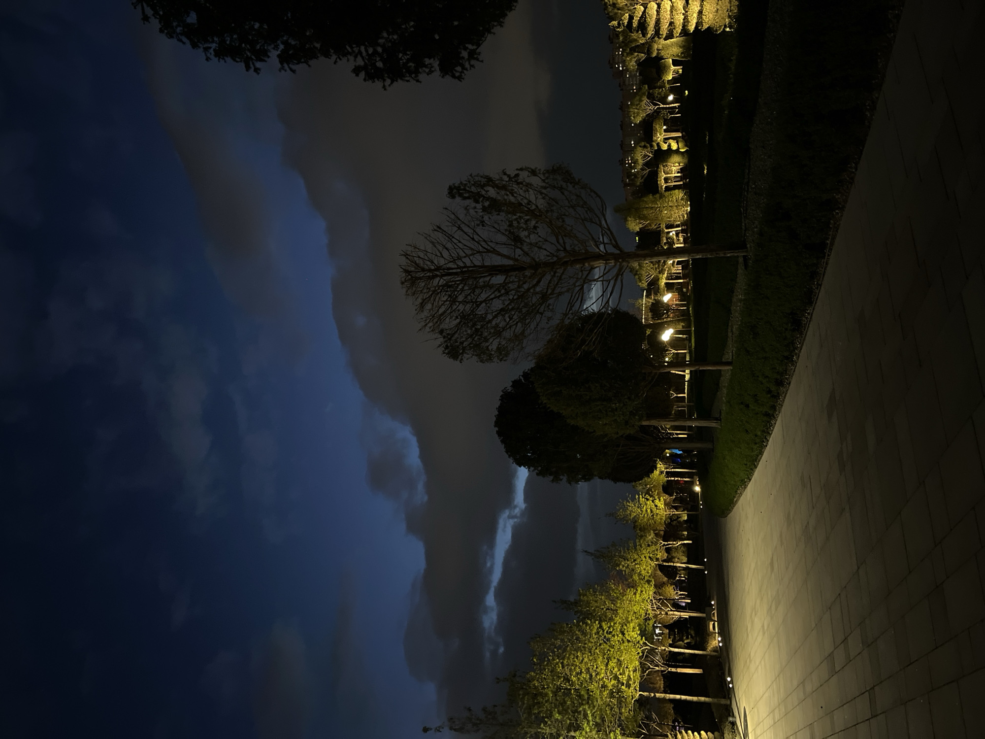The image captures a nighttime outdoor scene, likely a public park or landscaped walkway, under a dark, cloudy sky. The sky transitions from a deep, intense blue on the left to lighter grays and darker tones on the right, with visible cloud formations.
In the foreground and extending along the right side (when viewed upright), there is a wide paved pathway made of light-colored, rectangular interlocking pavers. This path is illuminated by a series of hidden ground lights, casting a warm, yellowish glow along its surface and highlighting the texture of the pavement.
To the left of the path, a meticulously maintained green space features various trees and shrubs. Many trees are bare-branched, their intricate silhouettes reaching towards the sky, while others, particularly those closer to the ground, are dense with foliage. These trees and hedges are strikingly lit from below by numerous landscape lights, creating bright yellow and lime-green accents against the dark backdrop. A tall, prominent tree with bare branches stands out in the midground, its structure clearly visible.
In the distant background, beyond the treeline, faint lights from buildings or other structures are discernible, suggesting an urban or residential area. No people are visible in the scene, and no specific activity is taking place, lending a peaceful and tranquil atmosphere to the image. The artificial lighting creates a strong contrast with the dark sky and shadows, enhancing the visual depth. No visible text is present. The location context provided indicates this scene is in Krasnodar, Russia.