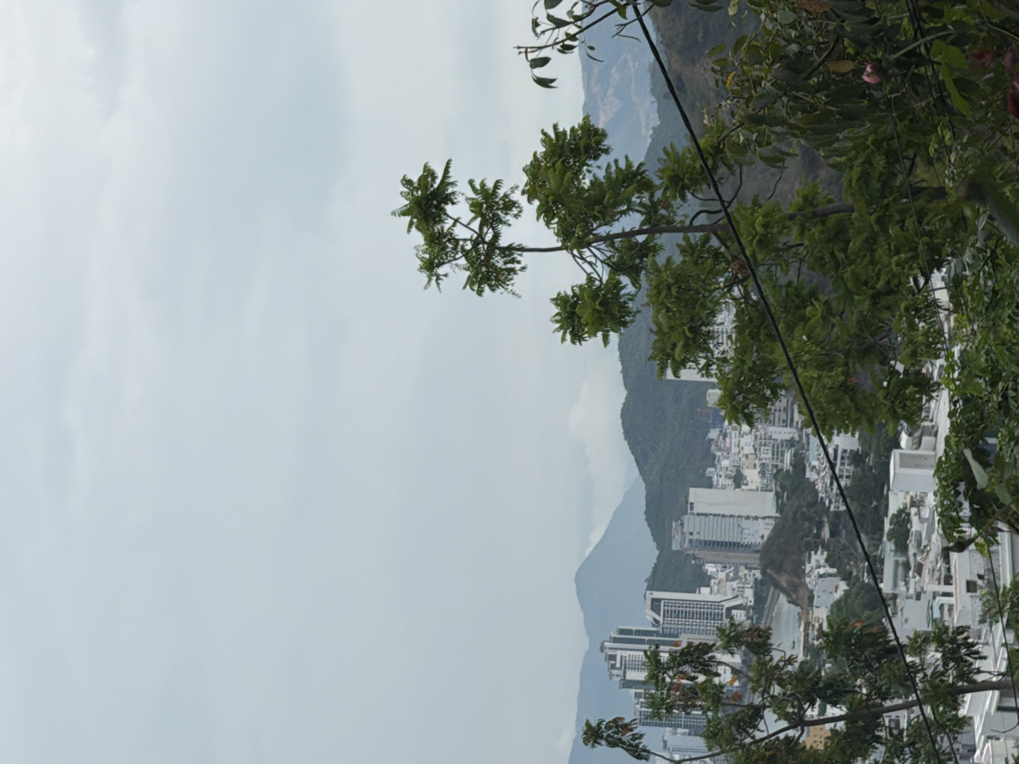 A slightly rotated, slightly blurry daytime shot reveals a partial view of Nha Trang, Vietnam. Modern high-rise buildings, mostly white or light gray, constitute the skyline along the coast. A green, mountainous terrain serves as a backdrop to the city. Branches of trees frame parts of the foreground, adding natural green elements to the urban landscape. Overhead power lines are visible, cutting through the scene. The sky is a pale, overcast gray. The location appears to be an elevated position overlooking the city.