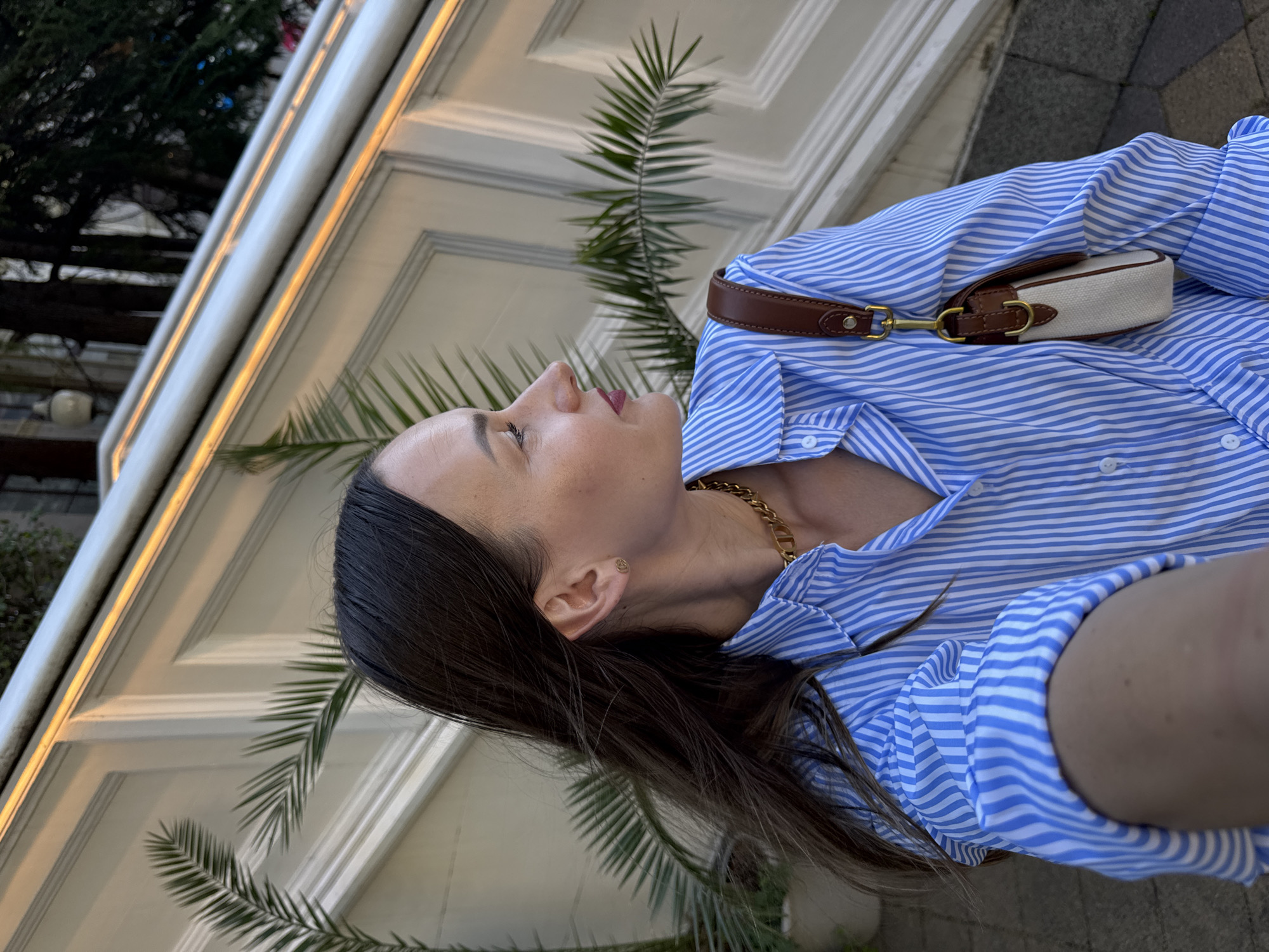 A woman is captured in a close-up, side-profile shot, looking upwards. She has long, dark brown hair and is wearing a blue and white striped button-up shirt. A small, beige bag with brown leather accents and gold hardware is visible on her shoulder, attached to her shirt. She is also wearing a gold chain necklace and a small, stud earring. Her skin appears smooth, and her lips are slightly parted, with a subtle application of lipstick.
The background features a cream-colored wall with ornate detailing, possibly part of a building's facade. Fronds of a palm tree are also present, suggesting a warm or subtropical environment. The lighting indicates it is daytime, possibly late afternoon or early evening, given the warm glow on the wall. The ground appears to be paved with stone.
The overall impression is a casual outdoor portrait, likely taken in a location with decorative architecture and greenery, consistent with the provided location context of Sochi, Russia. No text is visible in the image.