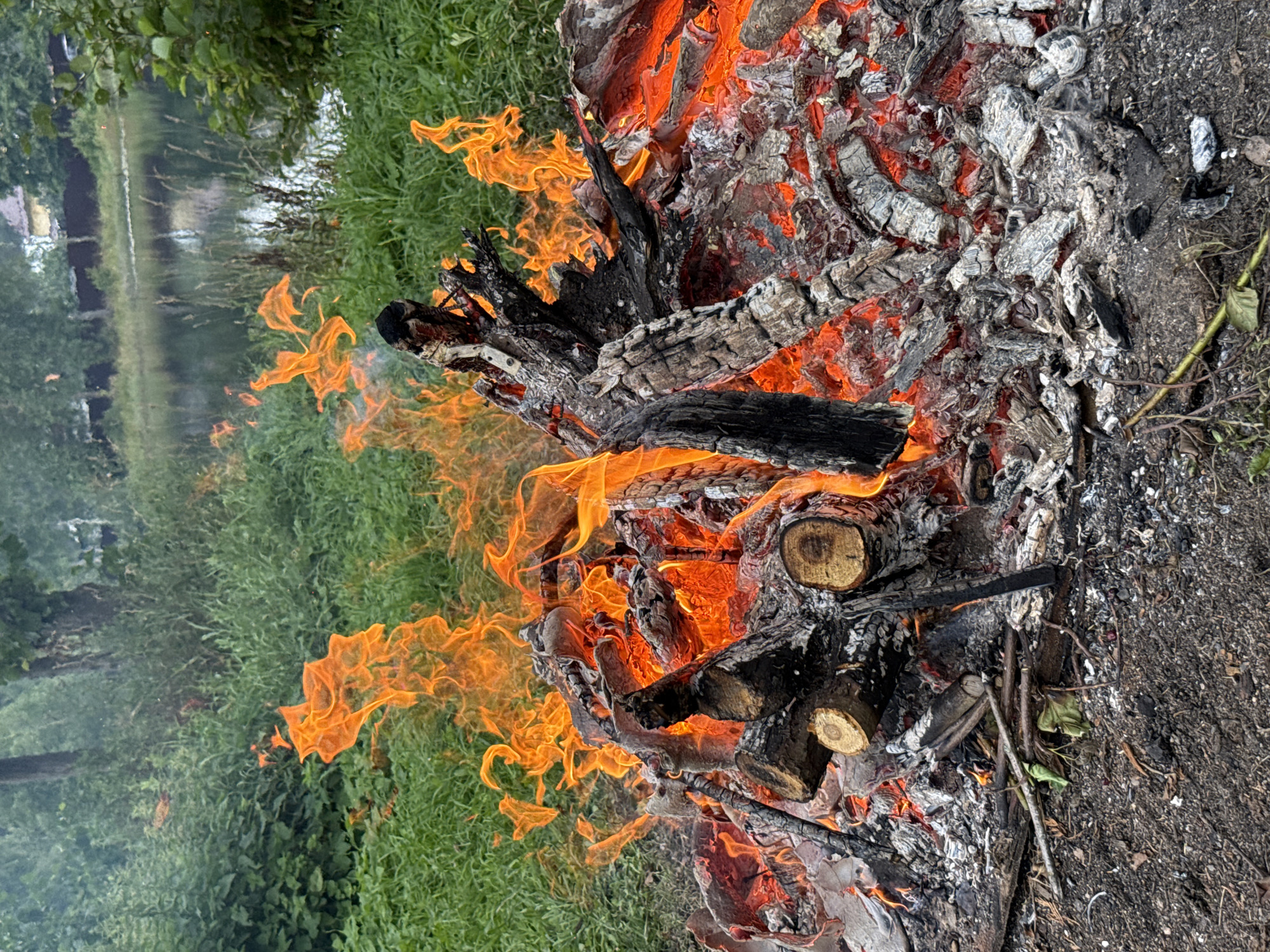 A close-up, eye-level shot captures a campfire burning intensely in the foreground, with a body of water and lush green vegetation in the background. The fire is composed of charred wood logs, glowing red embers, and vibrant orange flames licking upwards, creating a dynamic and energetic visual. The ground around the fire is covered in ash and debris, with a few dry twigs and leaves scattered about. In the distance, a calm lake reflects the overcast sky and the surrounding trees, suggesting a natural or semi-rural setting. The overall atmosphere is one of raw, elemental power and natural beauty. The image appears to have been taken in Irinovka, Russia, given the context provided.
