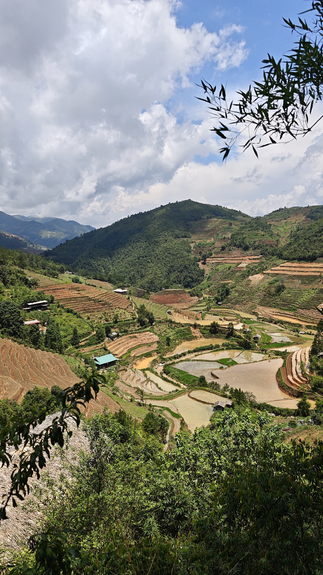 The image captures a scenic view of terraced rice fields in Ngã Ba Kim, Vietnam. The landscape consists of multiple levels of terraced fields, some filled with water and others with dry soil. Lush green vegetation covers the slopes and valleys between the fields. Several small structures, possibly houses or huts, are interspersed throughout the landscape. In the background, rolling hills and mountains are partially obscured by clouds. The sky is a mix of blue and white, with puffy clouds dominating the upper portion of the frame. In the foreground, vegetation partially obscures the view, creating a sense of depth.