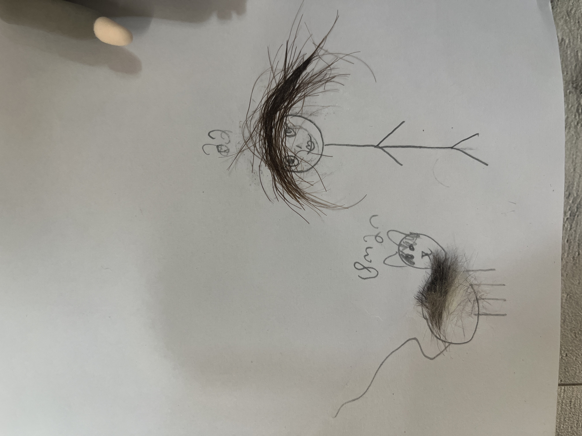 A child's drawing on white paper depicts two stick figures. One figure, on the right, is a person with a crudely drawn body and face, adorned with a wild tangle of dark brown hair stuck to the paper. Above the head, two small drawn circles resemble ears or hair accessories. The second figure, on the left, is a cat. The cat's body outline is drawn in pencil, with a tail extending to the left. The cat's back is covered with a clump of what appears to be grey and brown fur. Near the cat, there is a handwritten inscription in a script resembling Georgian characters. The drawing is set against a plain white background, with the shadow of a hand visible on the upper right side of the image. The drawing does not provide any specific details that would allow for its localization within the city of Tbilisi, Georgia.