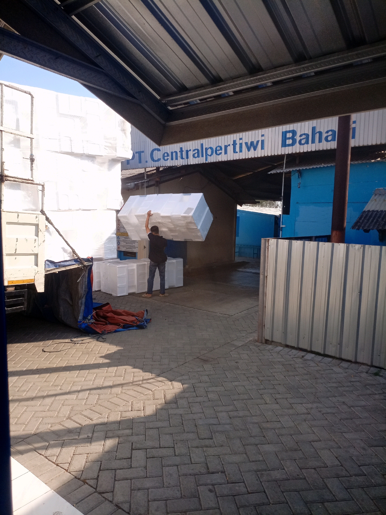 A man is carrying a large white styrofoam box, moving it towards a stack of similar boxes next to a truck. The scene appears to be a loading or unloading area at a business with a sign visible that reads "T. Centralpertiwi Baha i". The ground is paved with interlocking concrete blocks, and there is a metal fence and blue buildings in the background. The overall environment suggests an industrial or commercial setting, likely in Sumbersari, Indonesia, given the provided context.