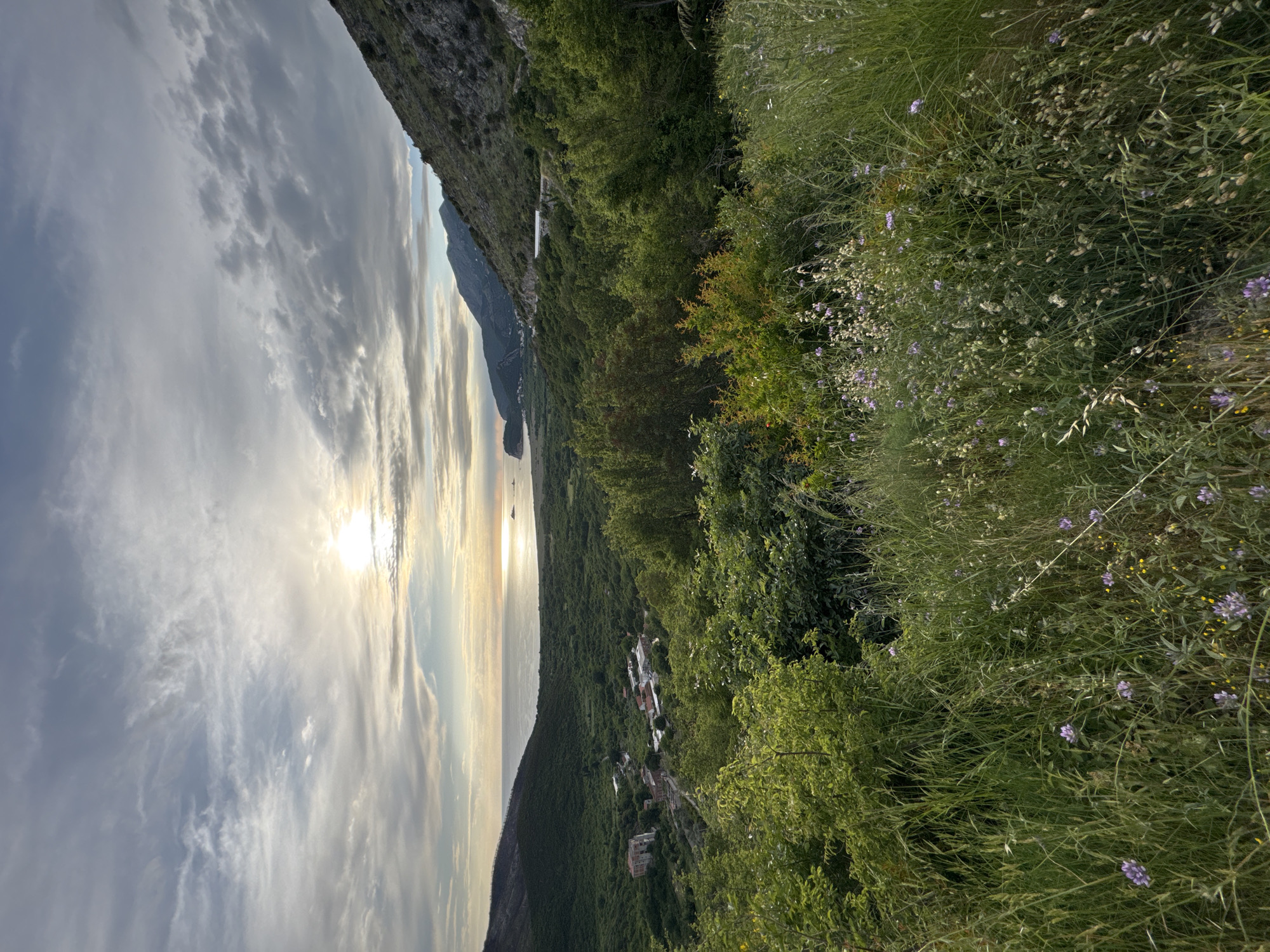 The image captures a landscape in Kanjoši, Montenegro, presenting a coastal scene from an elevated perspective. The foreground consists of dense vegetation with grasses and wildflowers. Moving towards the center, a slope covered with trees and structures, possibly houses, is visible. In the distance, the Adriatic Sea stretches out with a bright sun reflecting on its surface, partially obscured by clouds. The sky is filled with a mix of clouds, ranging from dark grey to bright white, reflecting the sunlight. A portion of a mountain range is seen on the left side of the image.