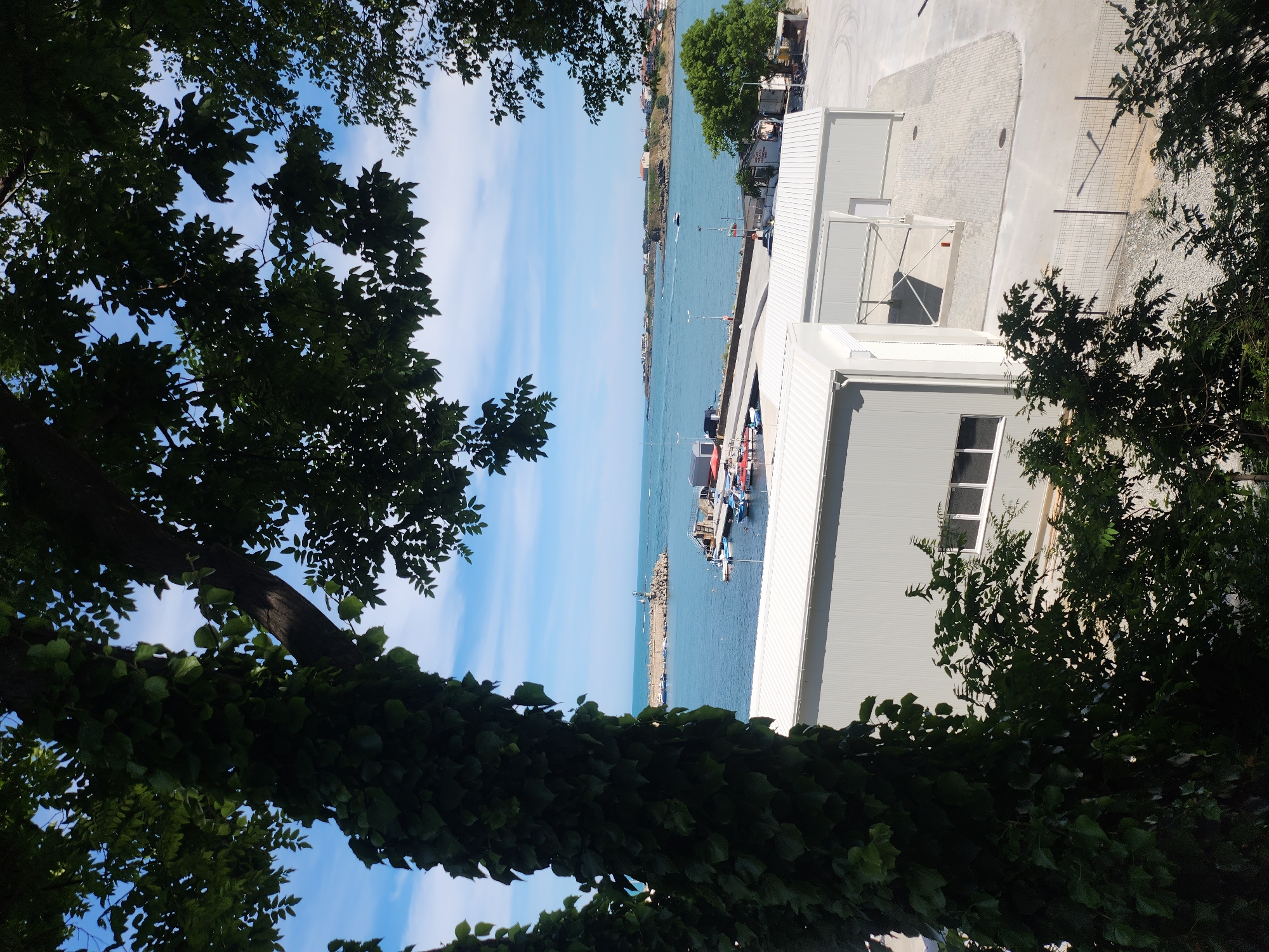 This media file shows a view of a harbor and a building from behind trees. The scene is outdoors, under a bright blue sky with scattered clouds, suggesting it is daytime and the weather is fair.
In the foreground, lush green foliage from trees and vines partially obscures the view. The main subjects are a body of water, likely a harbor, with several boats docked or on the water. Some of these boats appear to be small fishing vessels or leisure boats, with one larger boat possibly a ferry or transport. Beyond the water, a coastline is visible with buildings and vegetation. A modern, industrial-style building with a white roof and grey walls is prominent on the right side of the frame, situated near the water. It has several windows. A paved area and a fence are visible in front of the building, indicating a developed waterfront area. The overall setting suggests a coastal town or port.
There is no discernible activity or event taking place beyond the typical operations of a harbor. No people are clearly visible in the image. The location cues, such as the architecture of the building and the style of the boats, are consistent with a European coastal area.
The image is oriented vertically, as if taken from a higher vantage point looking down and across the scene. The lighting suggests it is likely midday or early afternoon.