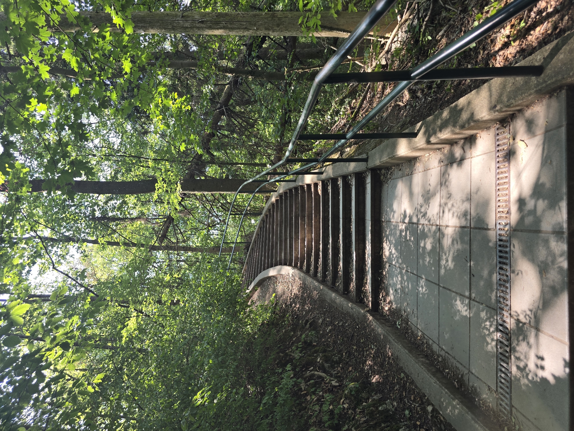 The image shows an outdoor staircase in a forest in Vilémovice, Czechia. The staircase is made of concrete with metal railings on the right side. The steps are illuminated by dappled sunlight filtering through the dense green foliage of the surrounding trees. The path leading up to the stairs is paved with square concrete tiles, and a metal grate is visible in the foreground, likely for drainage. The environment is lush and natural, with trees and undergrowth characteristic of a forest. No people are present in the image.
