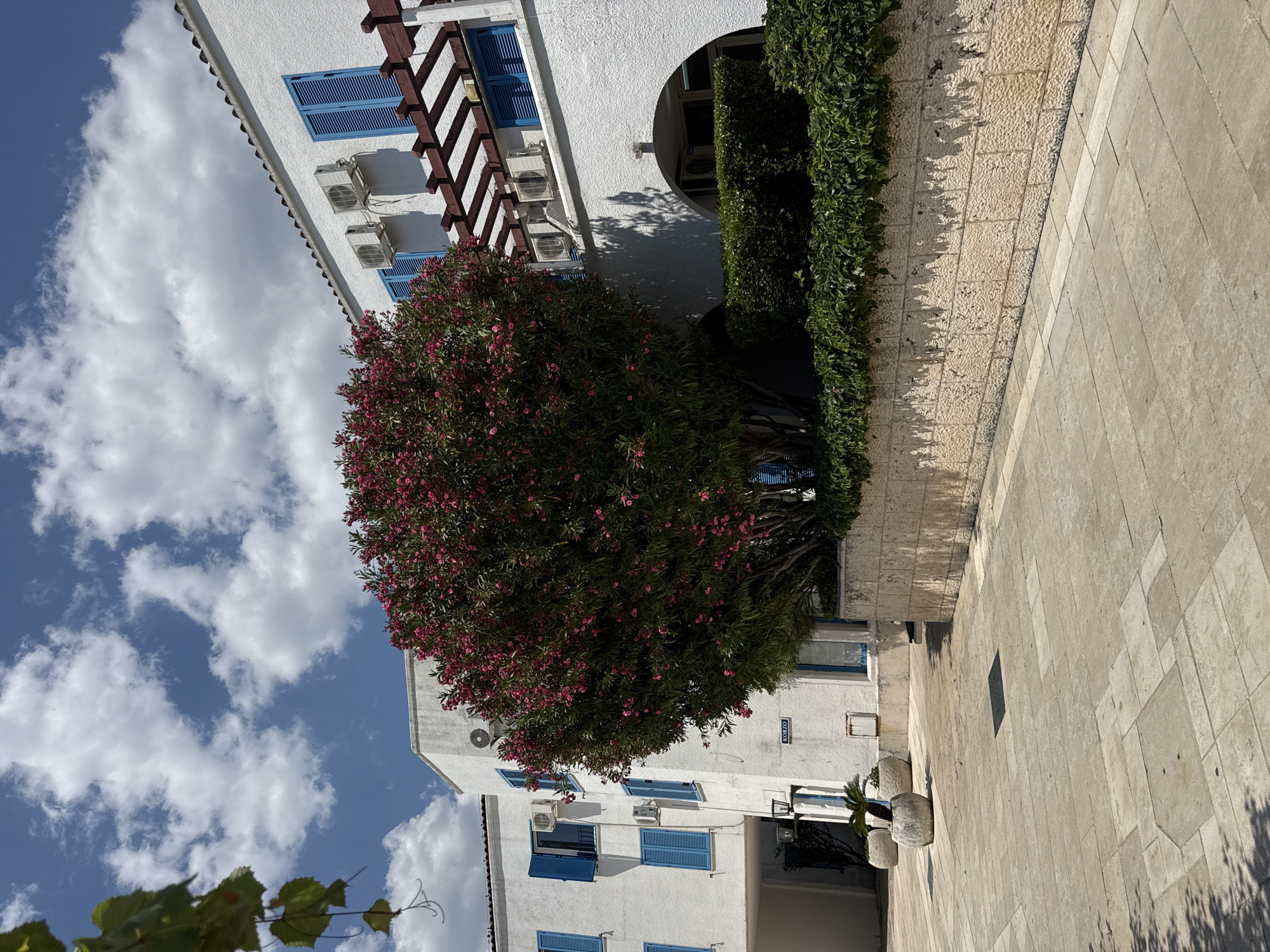 A wide-angle, eye-level shot captures an outdoor scene in Budva, Montenegro, likely in a courtyard or pedestrian area. The foreground consists of a light-colored, tiled walkway. To the right, a low, light-colored stone wall is topped with dense green foliage. Behind this wall and foliage stands a white building with blue shutters on its windows. A large, bushy tree with abundant pink flowers dominates the center of the frame, obscuring part of the building. The building has multiple windows, several air conditioning units are mounted on its exterior, and a wooden pergola structure extends over a section of the facade. The sky above is a bright blue with scattered white clouds. The overall impression is a well-maintained, sunny outdoor space.