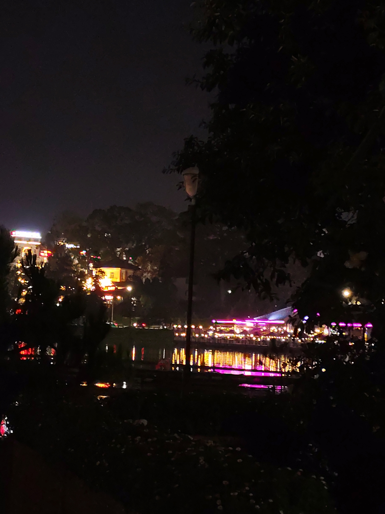 The image depicts a night scene in Da Lat, Vietnam, with a body of water in the foreground. The water reflects the colorful lights from buildings and structures along the shore. There are trees and foliage in the foreground and middle ground, some of which are silhouetted against the night sky. A street lamp is visible in the center of the frame. The lights along the shore appear to be from restaurants and other establishments, and there are also illuminated buildings further back on the hillside.