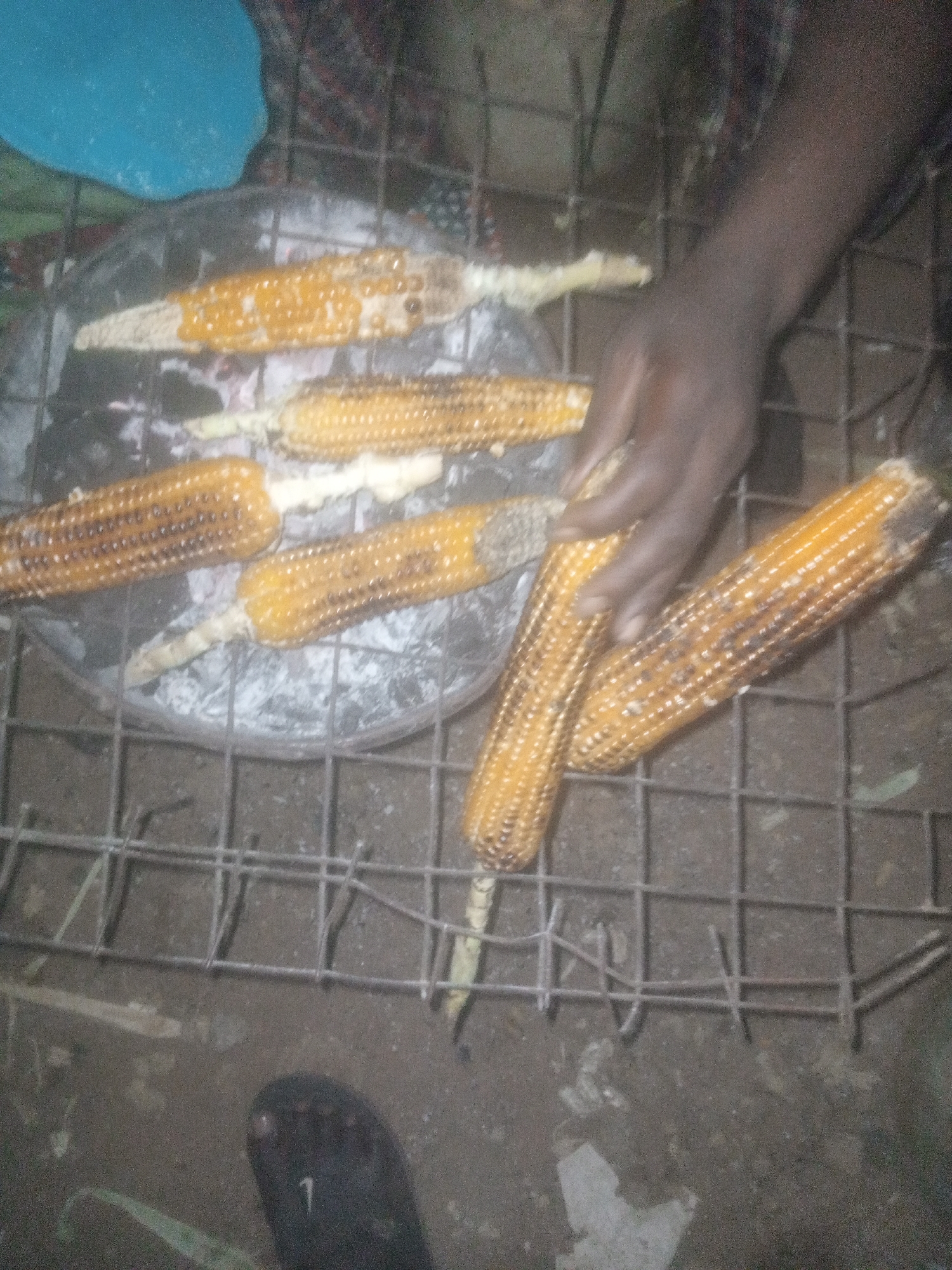 The image depicts an outdoor scene, likely in Tundun Wada South, Nigeria, where corn is being roasted over a makeshift grill. In the foreground, a person's hand, with dark skin, is visible reaching towards several ears of corn. These ears of corn are yellow and appear to be partially cooked, with some kernels showing char marks. They are arranged on a metal grill that sits above a fire, though the fire itself is not directly visible. In the background, a blue object, possibly a piece of fabric or plastic, is present, along with what appears to be patterned cloth. The ground beneath the grill is dark and uneven, with some debris scattered around. A black sandal with the numeral "1" printed on it is visible in the lower left corner of the frame, indicating the presence of another person or at least their footwear at the scene. The overall lighting suggests it might be evening or nighttime, or an indoor space with limited illumination.