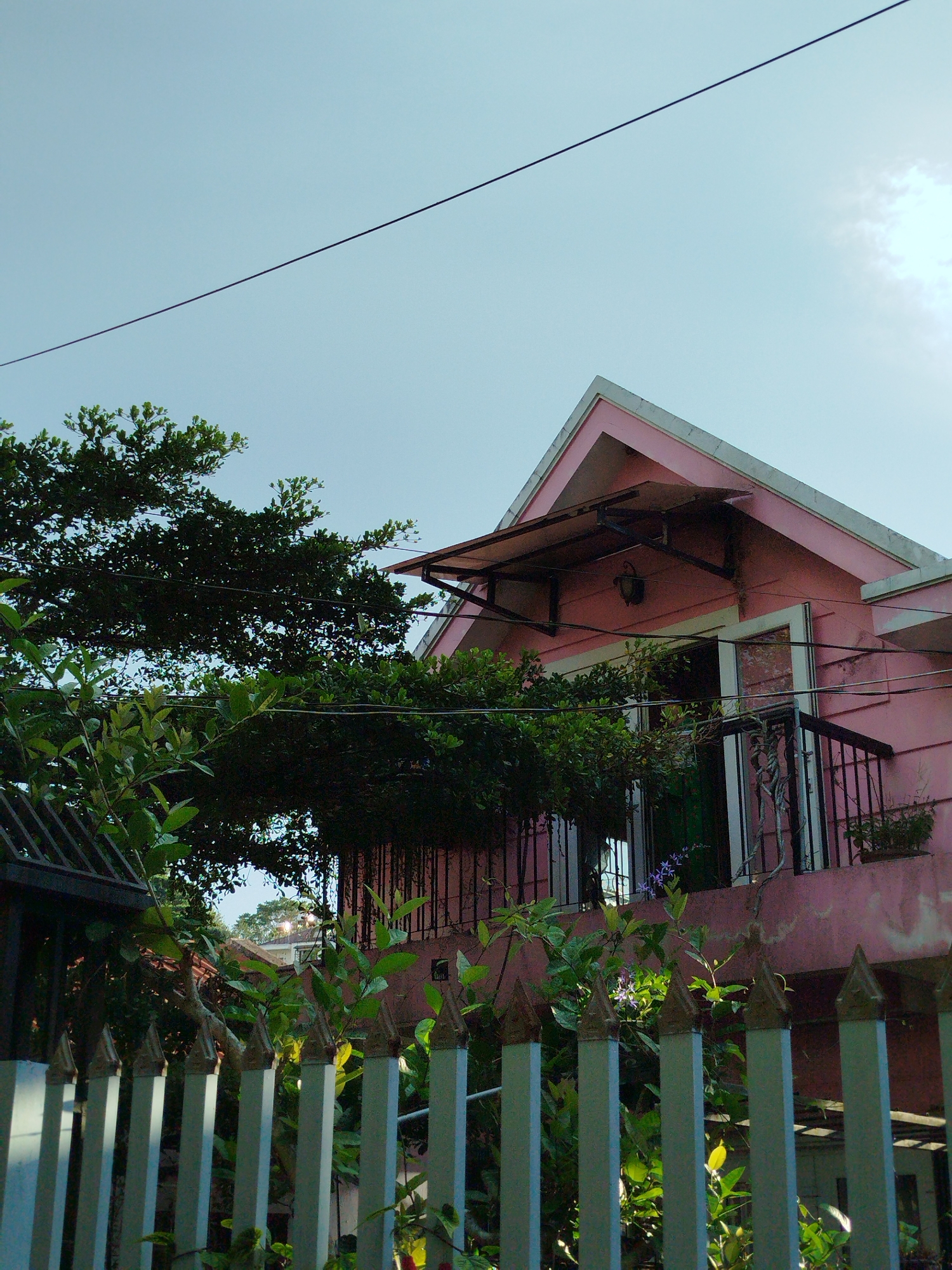 The image shows the exterior of a pink house, likely a residential building, in Da Lat, Vietnam. The house has a gable roof and a balcony with a black metal railing. Lush green trees and foliage surround the house, partially obscuring it. A white picket fence with pointed finials is in the foreground. The sky is a pale blue with some clouds. The scene appears to be captured during daylight hours. There are no people visible in the image.