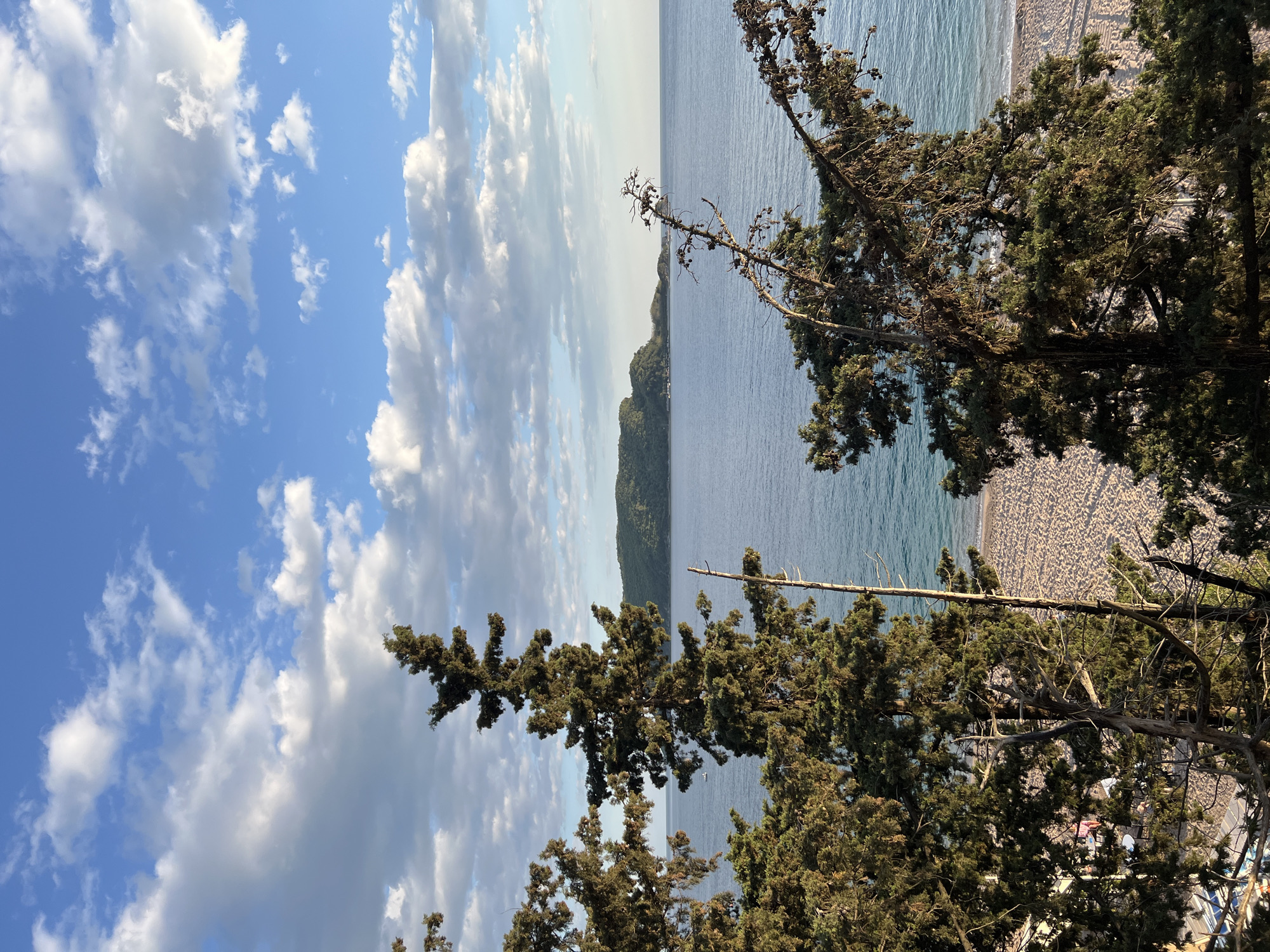 The photograph depicts a coastal scene, likely in the vicinity of Budva, Montenegro, given the landscape features. The camera angle is from an elevated position, looking down towards the Adriatic Sea, with trees in the foreground. A strip of beach is visible along the shoreline. In the distance, there's a promontory or island. The sky features scattered cumulus clouds. No people are distinctly visible. The dominant colors are blue, green, and brown. The scene is generally a daytime outdoor shot, and suggests natural lighting conditions.