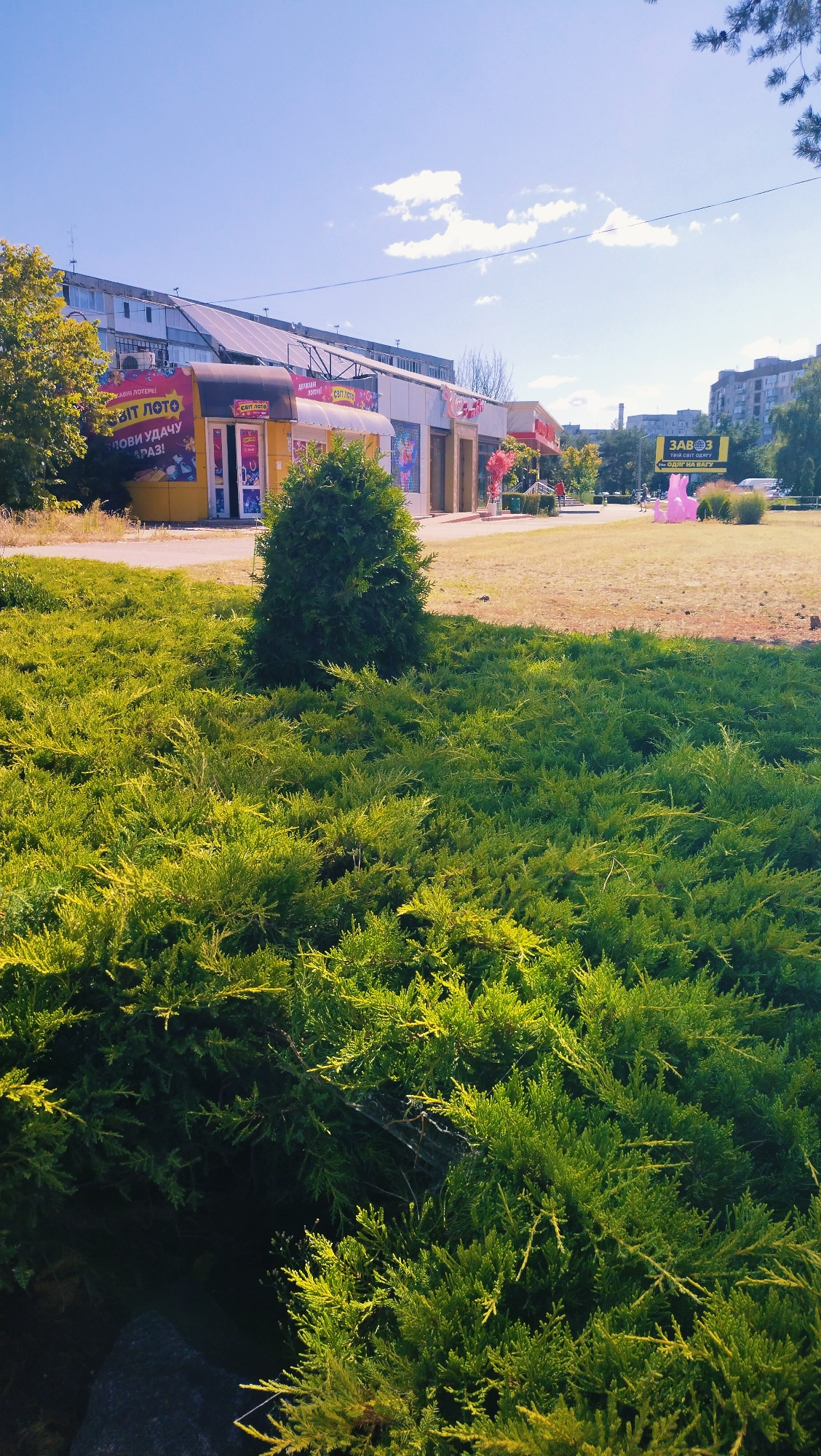 The image shows a daytime outdoor scene in the city of Horishni Plavni, Ukraine. In the foreground, there is a dense, vibrant green juniper bush covering a significant portion of the frame. Behind the bush, a row of small shops or kiosks with colorful awnings is visible. One kiosk is bright yellow with Ukrainian text that appears to be an advertisement for a lottery. Further back, there are more buildings and a yellow billboard with Ukrainian text. A large pink inflatable object resembling a flamingo or a similar stylized animal is located in the middle ground, to the right. The sky is blue with scattered white clouds. The overall impression is a commercial area with landscaping elements.