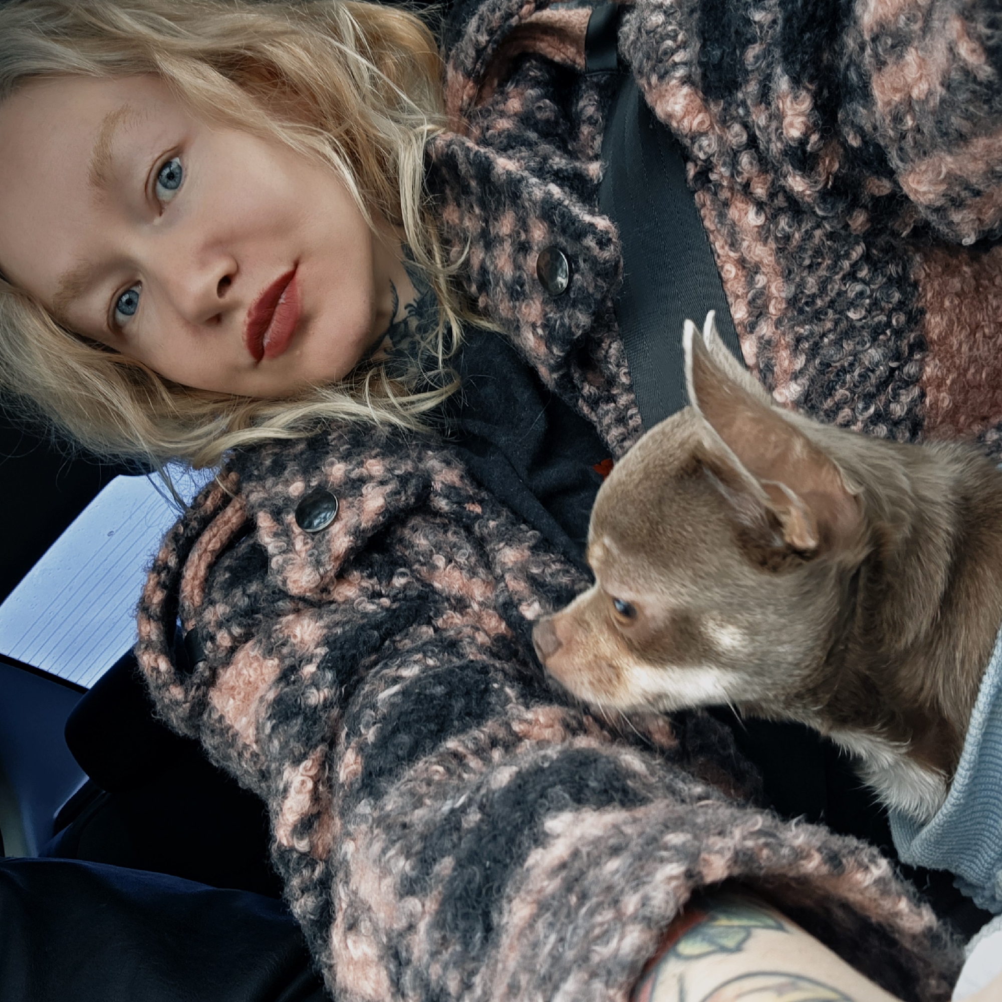 A woman with blonde hair and blue eyes, wearing a textured jacket with a pattern of black and pink, is sitting in what appears to be a car. She has red lipstick on and tattoos are visible on her neck and arm. A small brown Chihuahua dog is next to her, nestled in a blue cloth. The environment suggests the interior of a car with a window visible in the background. There is no specific indication of Saint Petersburg, Russia in the scene.