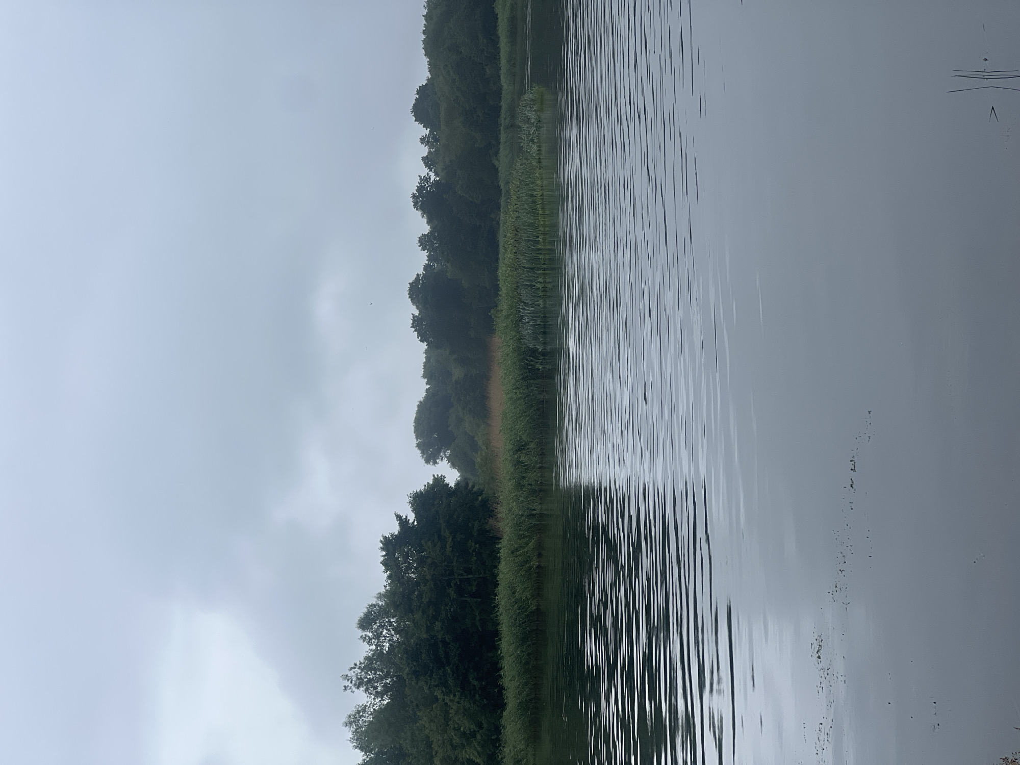 The image depicts a tranquil body of water in Skirvytė, Lithuania, under an overcast sky. The water's surface is disturbed by gentle ripples, reflecting the muted light. Along the far bank, dense green foliage forms a natural barrier, with taller trees forming a darker, more distant line against the horizon. Closer to the water's edge, reeds and other marsh vegetation create a textured band of green. The overall atmosphere is serene and natural, suggesting a quiet, undeveloped landscape. There are no people or visible man-made structures in the frame.