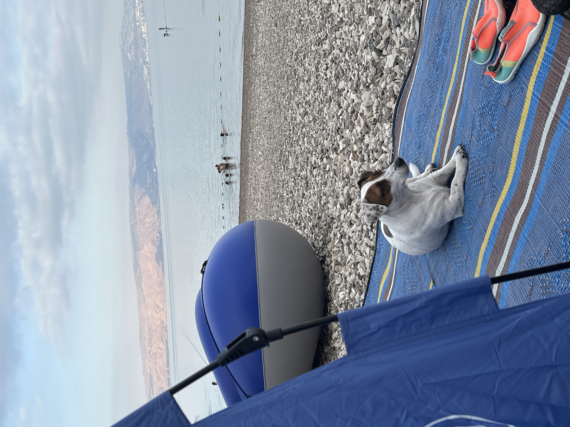 An outdoor scene on a pebble beach at Emek HaYarden Regional Council, Israel, captures a serene moment by the Sea of Galilee. In the foreground, a small white and brown Jack Russell Terrier rests on a blue striped mat, its body facing right while its head turns left. Next to the dog are a pair of orange and teal water shoes. A large, deflated blue and grey inflatable boat rests on the pebble shore behind the dog. To the left, the corner of a blue tent or canopy is visible, with a black support pole extending upwards. In the middle ground, several people are swimming or wading in the calm waters of the Sea of Galilee. Further in the distance, a lone figure stands on a paddleboard with a dog. The background features a hilly, arid landscape under a cloudy sky.