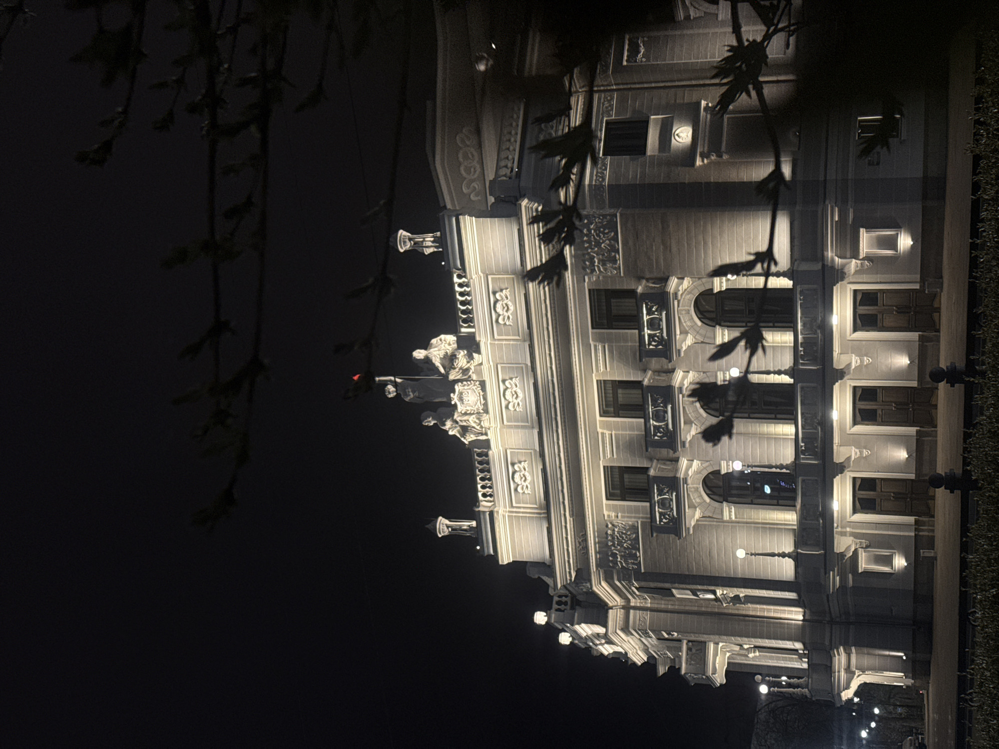 A grand, ornate building stands prominently, brightly illuminated at night. The structure exhibits a classical or neo-classical architectural style with multiple stories, adorned with substantial columns or pilasters. Its facade features elaborate decorative elements, including intricate carvings of floral motifs and scrolls on friezes and window surrounds. Balustrades are visible on upper levels, and several sculptural figures or statues are positioned atop cornices and ledges. A slender spire or turret is discernible in the distance on the building's roofline.
The dark night sky forms the background, with the building's artificial lighting creating dramatic contrasts and highlighting its architectural details. In the foreground, dark, silhouetted branches and leaves from trees or bushes hang into the frame, partially obscuring the left side of the building. Along the lower right, a manicured green hedge borders a paved area, where several spherical streetlights emit a soft glow. No people are visible, and there is no discernible activity taking place. The scene conveys a sense of historical grandeur and stillness. This architectural display is consistent with public buildings found in cities such as Yekaterinburg, Russia. No visible text is present in the image.