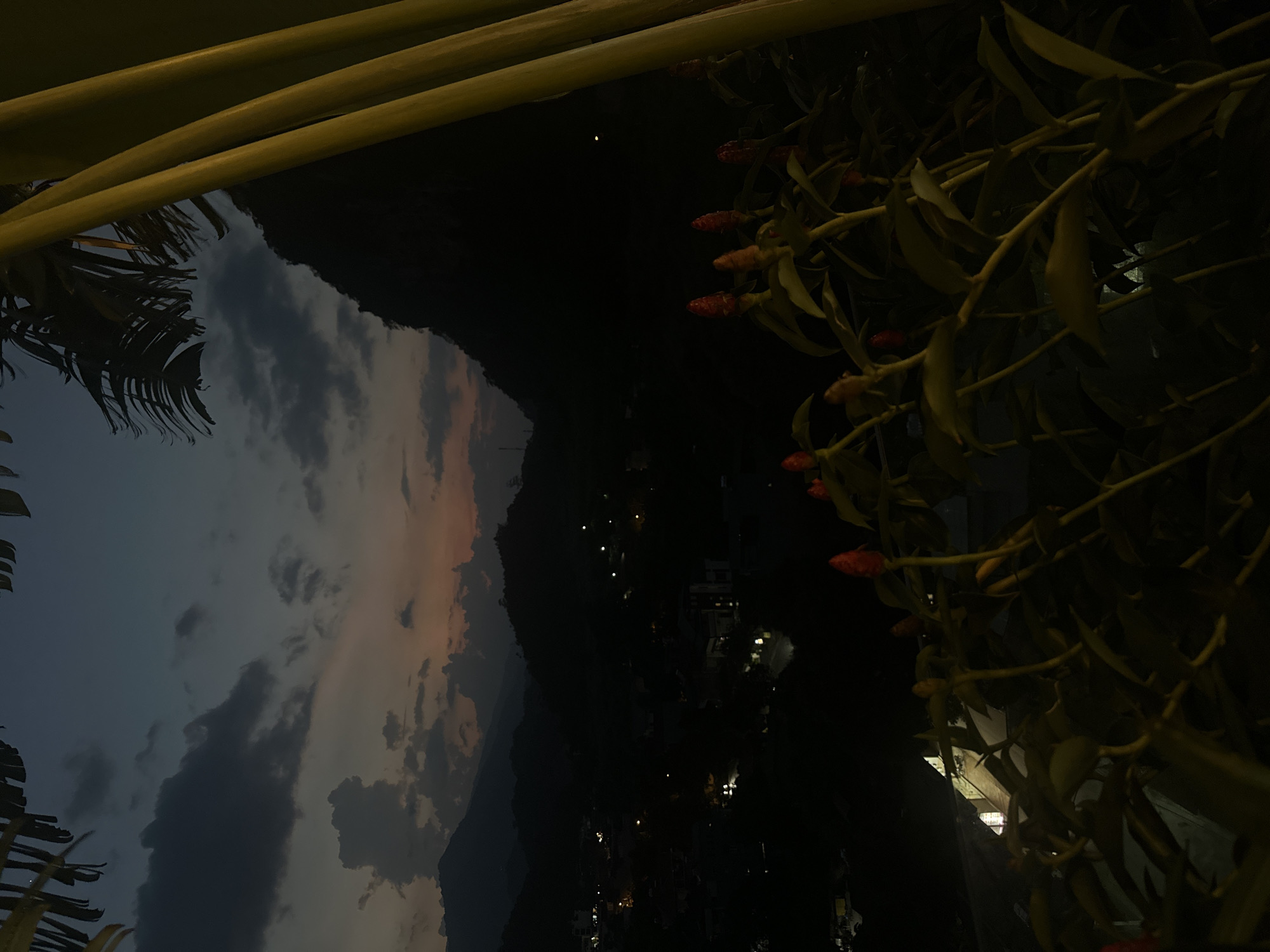 The image, taken in Hà Giang 1 Ward, Vietnam, presents a night scene featuring a mountain range silhouetted against a dusky sky with clouds illuminated by the fading light. In the foreground, plant life, including branches with red buds and palm fronds, frames the view. Small lights suggest the presence of buildings or houses nestled along the mountain slopes.
