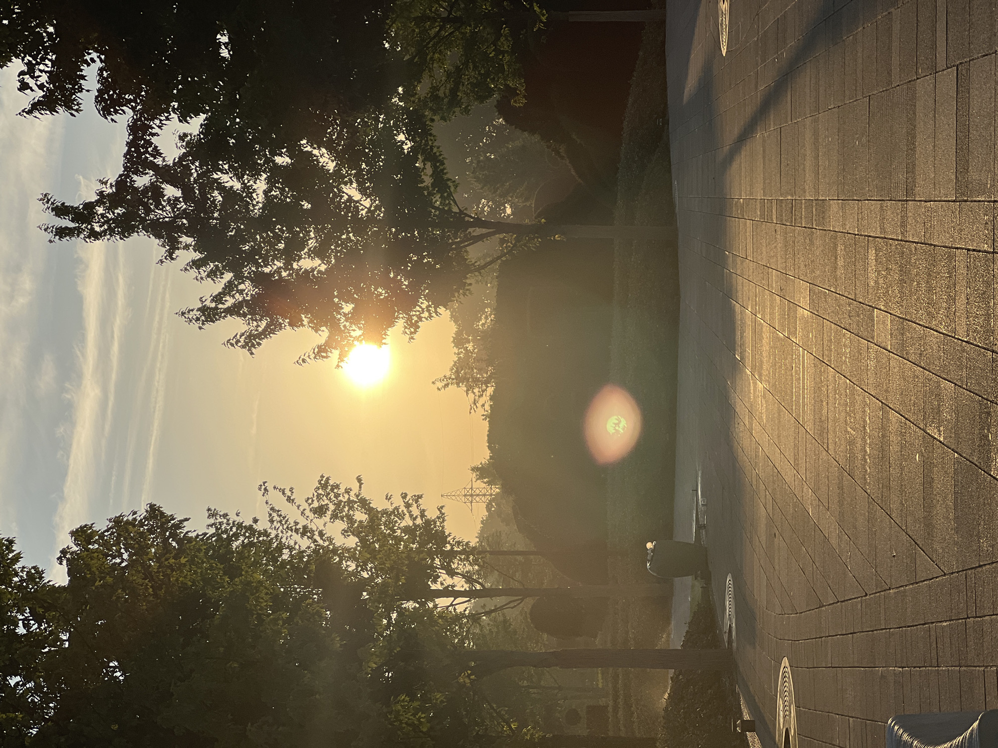 The image depicts a sunrise in a park-like setting. The sun, a bright orb of light, is visible in the upper center of the frame, casting a warm, golden glow over the scene. The sky is a soft yellow and blue, with wispy clouds. Tall trees with lush green leaves flank the path, their branches silhouetted against the bright sky. In the foreground, a paved pathway made of rectangular gray stones curves through the park. The stones are wet, reflecting the golden sunlight. A dark-colored trash can stands on the left side of the path. In the distance, a power line tower is visible amidst a line of trees and vegetation. The overall impression is one of a peaceful and serene morning. There are no people or animals visible in the image. The specific location in Krasnodar, Russia, cannot be determined from the image alone.