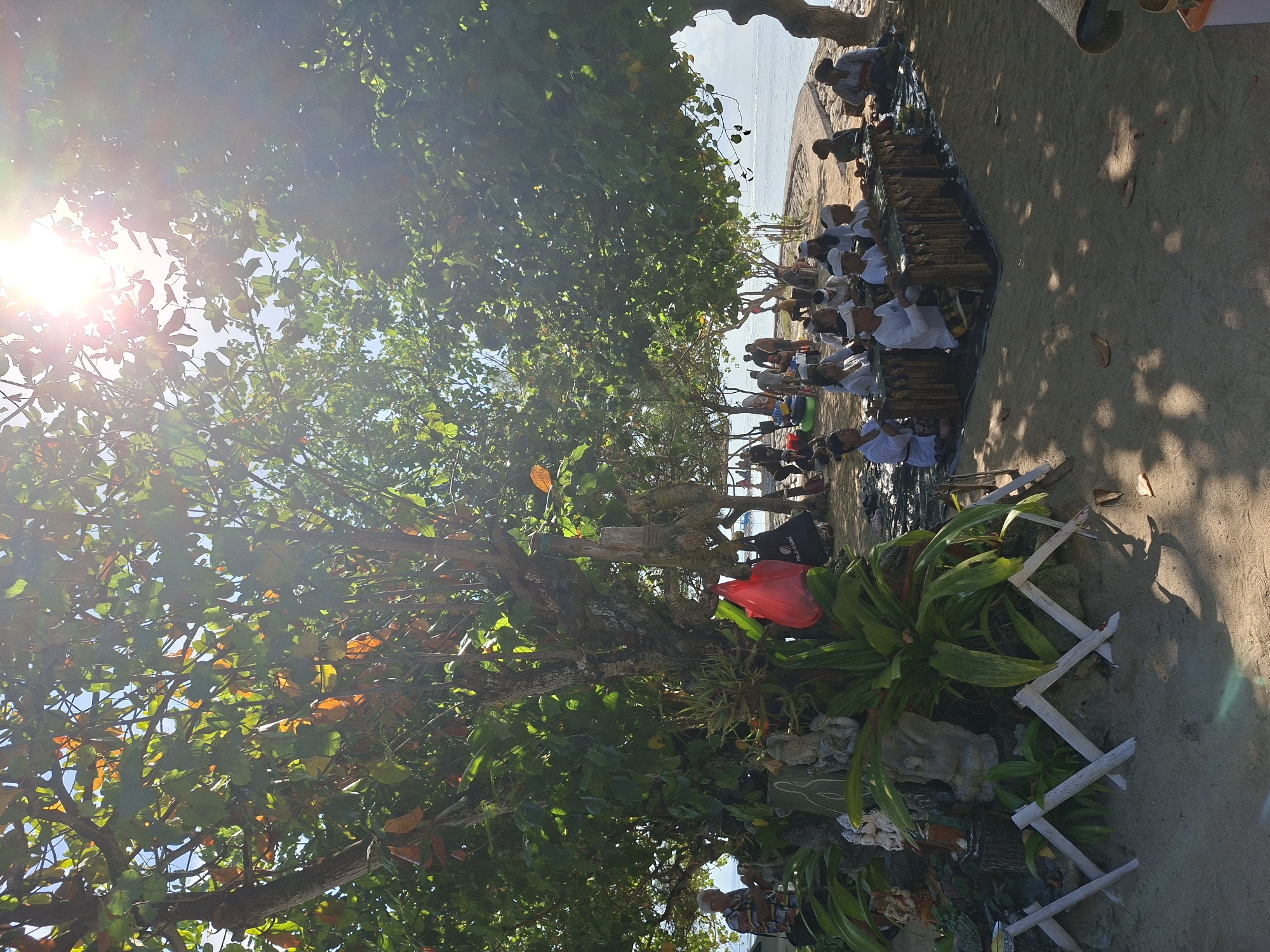 The image, taken in Denpasar, Indonesia, is rotated counter-clockwise and depicts a vibrant outdoor gathering or ceremony near the sea on a sunny day. Bright sunlight streams through the dense foliage of large trees, creating lens flare in the upper left and casting dappled shadows on the sandy ground.
Numerous people are present, with many seated on the ground or mats in rows, facing towards the right side of the frame. A significant number of participants, including adults and children, are dressed in white traditional attire, suggesting a ceremonial or religious event. They appear to be engaged in a ritual, possibly presenting offerings, as various long, woven or bamboo-like containers are placed in front of them. In the background, beyond the trees, the calm blue water of the sea is visible under a bright sky.
Notable details include the lush green and reddish-brown leaves of the trees that dominate the left side of the image, providing ample shade. A bright red bag hangs from a tree branch or sits on the ground in the mid-ground, near a black bag that partially displays the word "BALI." Various tropical plants and ornate, light-colored sculptures or decorations are arranged in the foreground, bordered by a small white wooden fence. The strong sun indicates it is likely mid-morning or afternoon. The overall atmosphere appears calm and focused on the activity.
