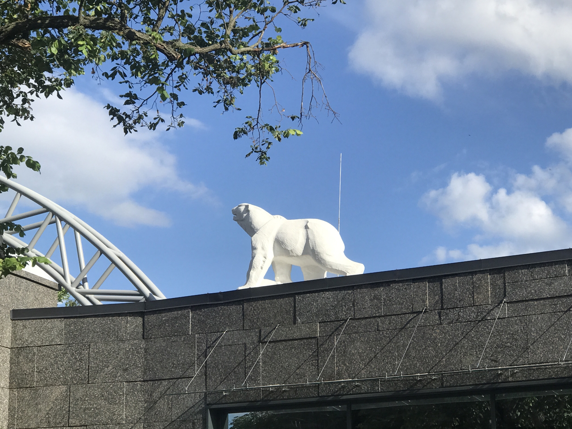 A white polar bear statue stands on top of a dark gray, textured building against a bright blue sky with scattered white clouds. The statue is positioned to the right of the frame, facing left, with its head raised and mouth open. To the left of the statue, a portion of a white, arched metal structure is visible, likely part of a building's facade or roof. In the upper left corner, green tree branches with leaves overhang the scene. The building itself appears to be made of large, rectangular stone-like blocks.