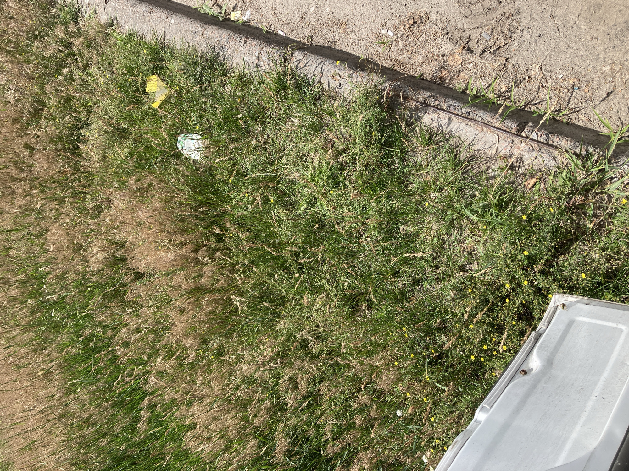 The image depicts an outdoor scene with overgrown grass bordering a concrete curb. Several pieces of litter are visible amongst the vegetation, including a crumpled white and green object and a bright yellow plastic bag. A section of a white, metallic object, possibly a vehicle door or panel, occupies the lower left portion of the frame. The environment appears to be a roadside or a neglected area, with sparse yellow wildflowers interspersed in the grass. The overall impression is one of disarray and potential neglect. The location is specified as Kyiv, Ukraine.