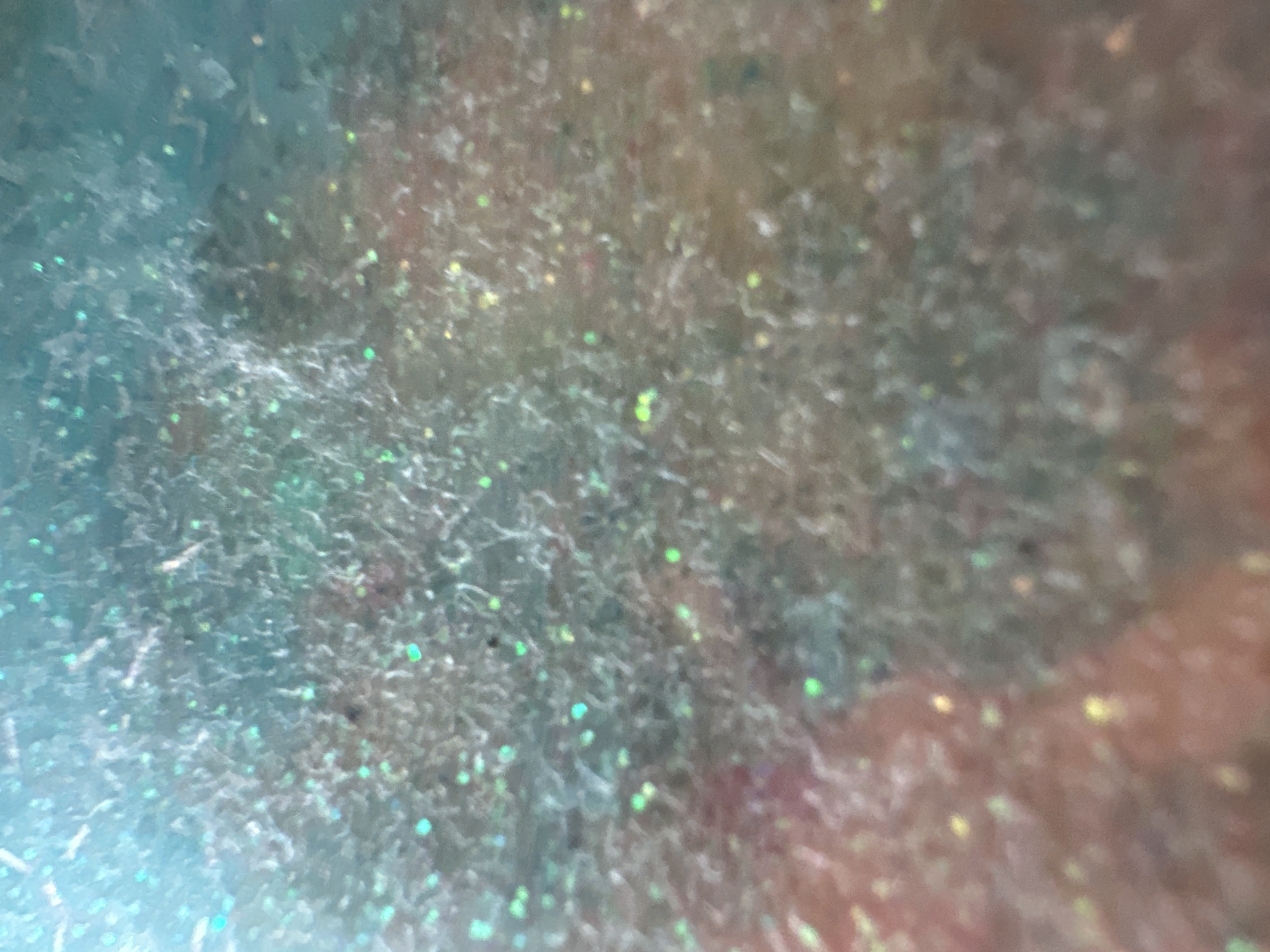 This is an abstract, macro photograph of a textured surface with a glittering, iridescent quality. The colors blend from a bright, almost aqua blue on the left to muted tones of gray, brown, and hints of pink or orange on the right. Scattered throughout the image are small, bright specks of light, appearing as glitter or tiny reflections. The texture itself is fine and fibrous, giving the impression of a soft material or perhaps something granular. The overall effect is dreamlike and somewhat ethereal, with a bokeh-like quality due to the shallow depth of field. No people, objects, or specific scene are discernible. The image is likely a close-up of a decorative material, craft supply, or perhaps a natural phenomenon captured at a microscopic level. There is no visible text.