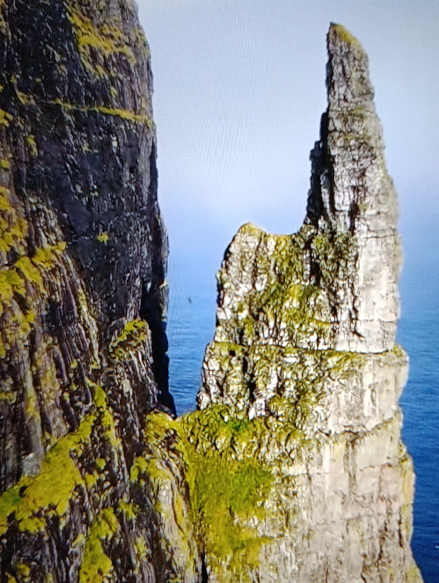 A tall, rocky sea stack rises from the ocean, partially obscured by a similar, darker rock formation to its left. Patches of green vegetation cling to both rock structures. The sky is light blue. Location is unknown.