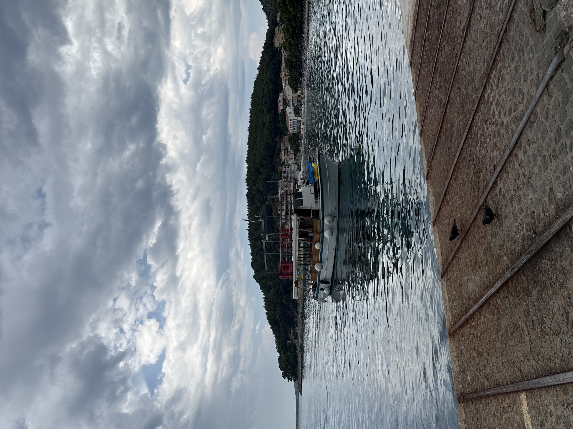 A boat is docked in the harbor of Drvenik, Croatia. The boat is white with a wooden deck and a tan roof. It has several life preservers stacked on its roof and is tied to a dock. The water is calm and reflects the cloudy sky. In the background, a lush green hill overlooks the town, which is dotted with buildings. Two pigeons are perched on the concrete dock in the foreground.